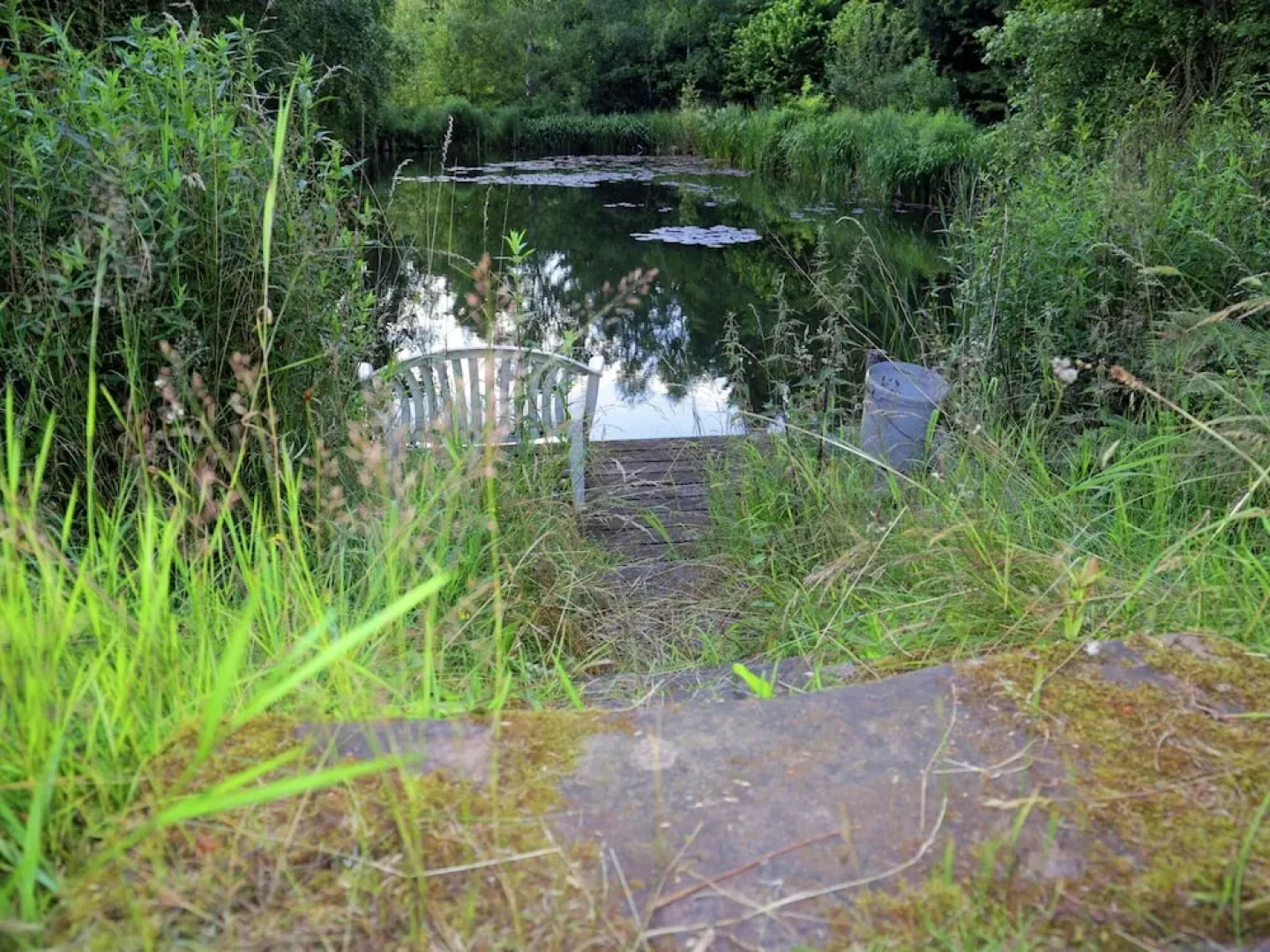 Large and Comfortable Family Home, Surrounded by Forests and Nature