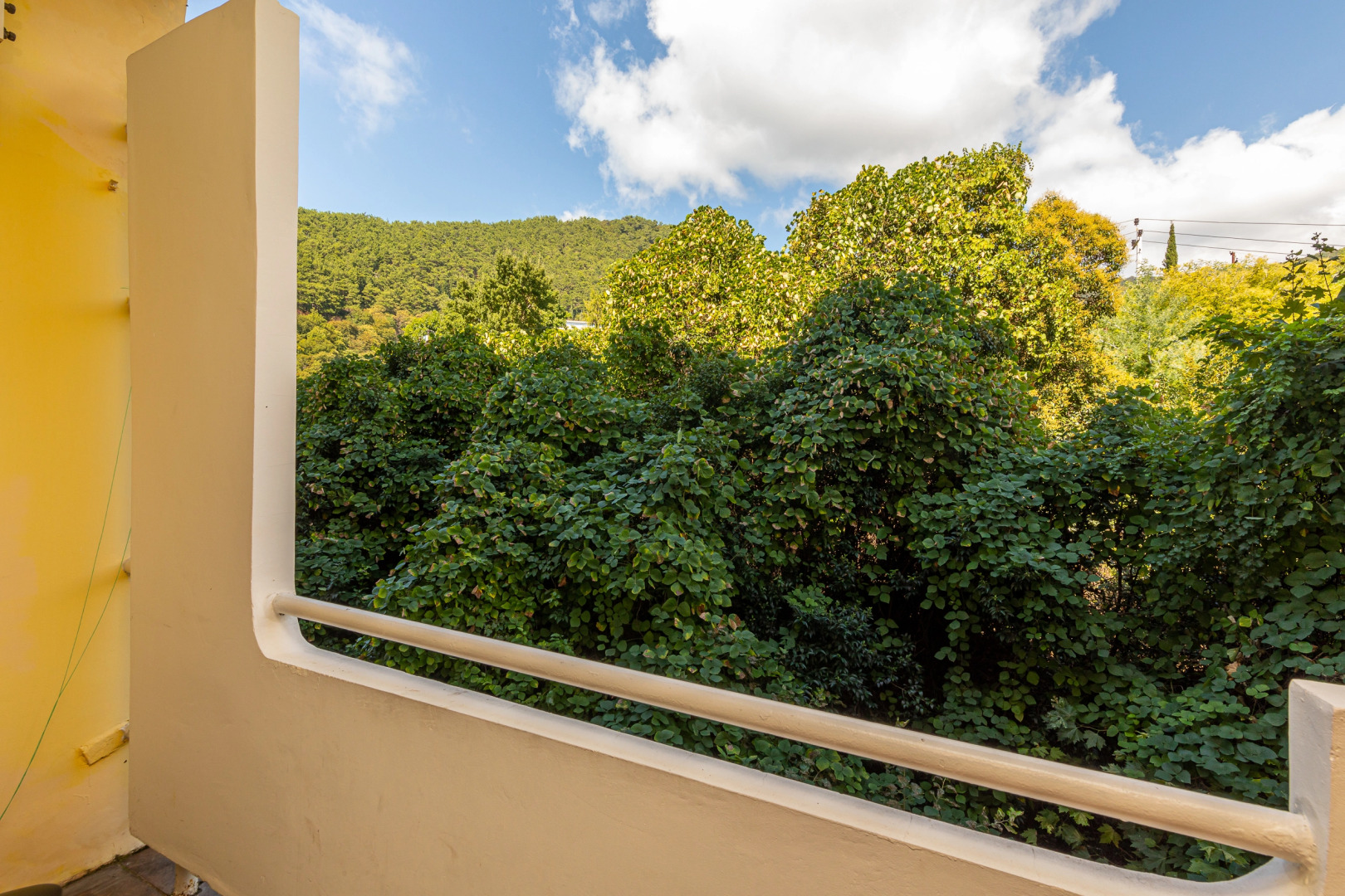 Отель Пансионат Багрипш