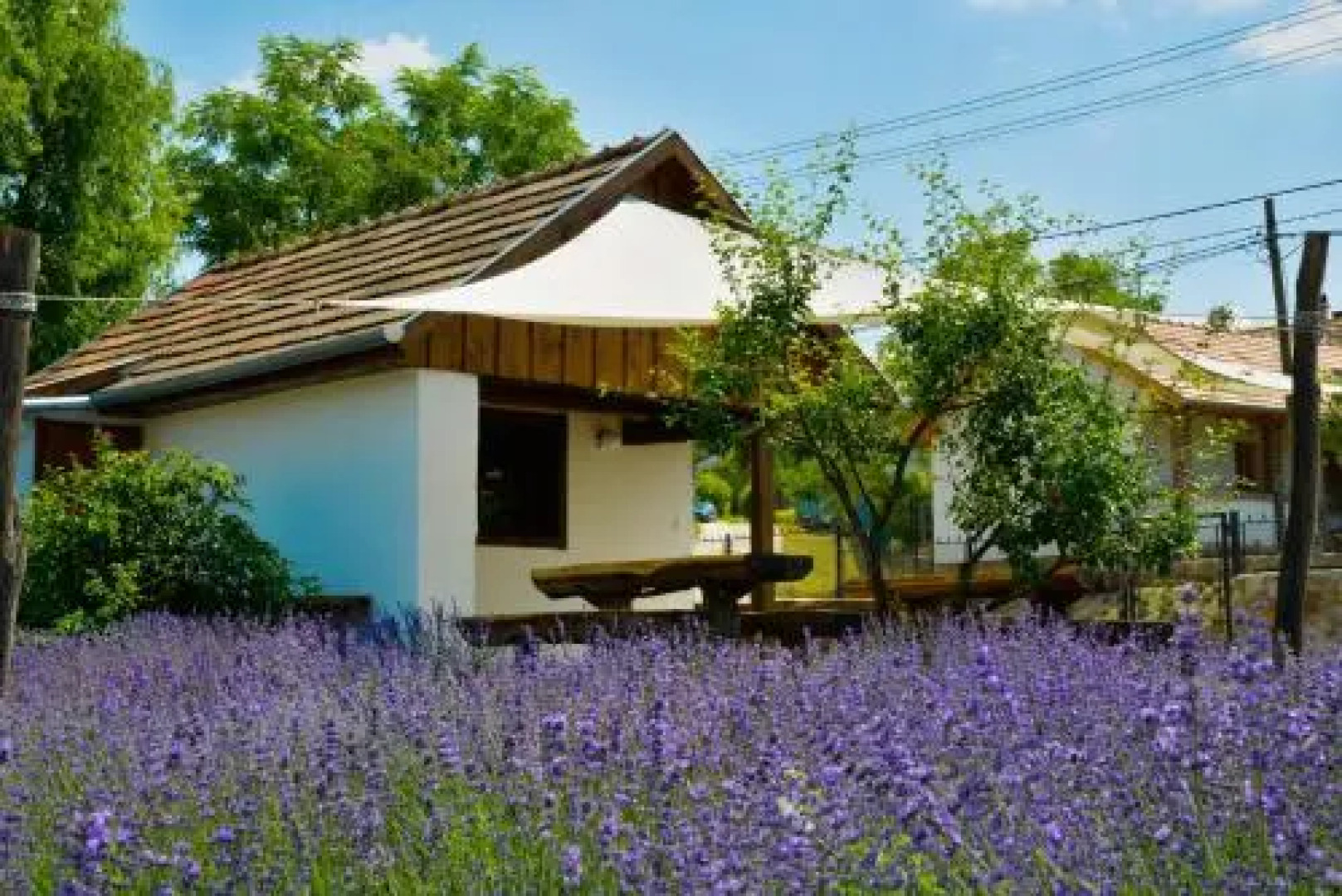 Levendula Vendégház