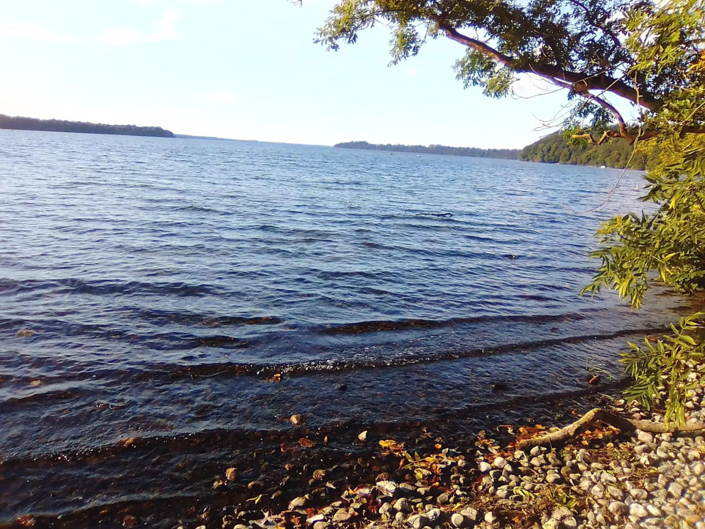 Raben Steinfeld Forststraße 3 Residenzpark