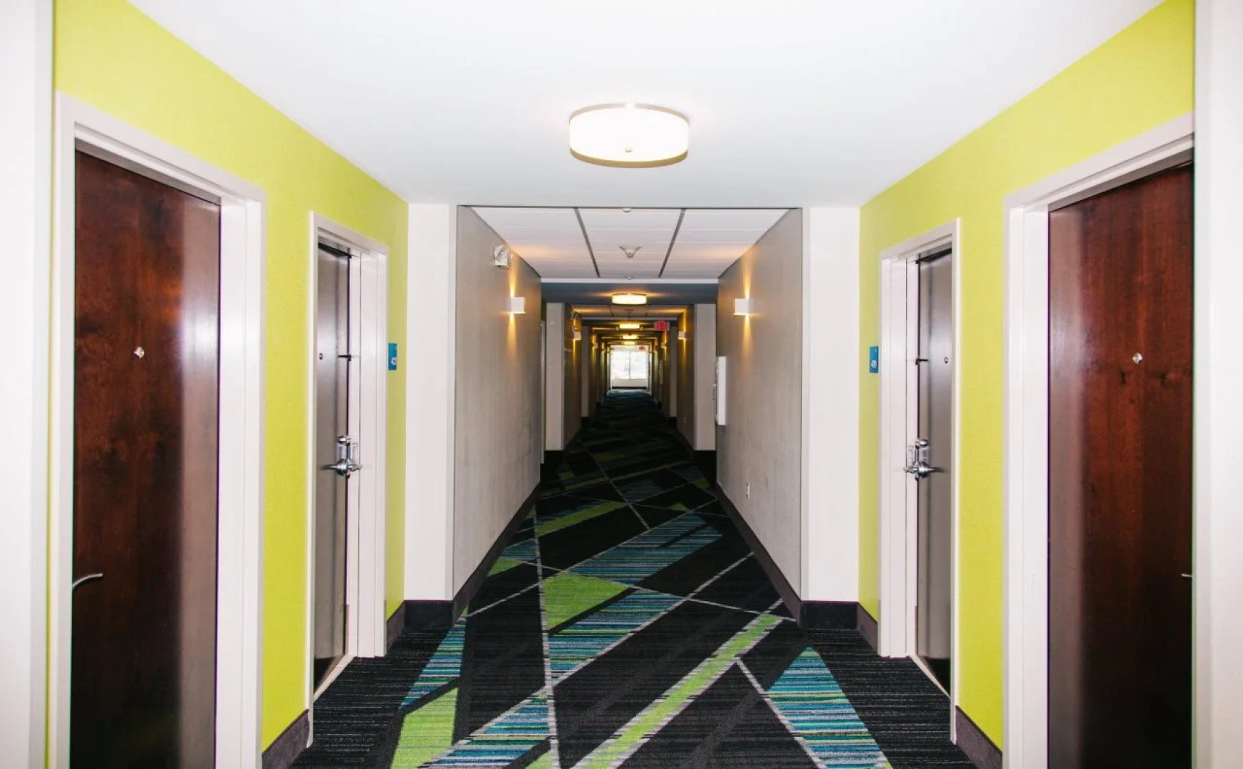Holiday Inn Express & Suites Tampa USF Busch Gardens by IHG