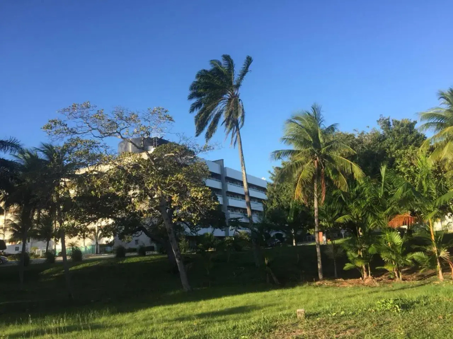 Paradise Blue Marlin Hotel