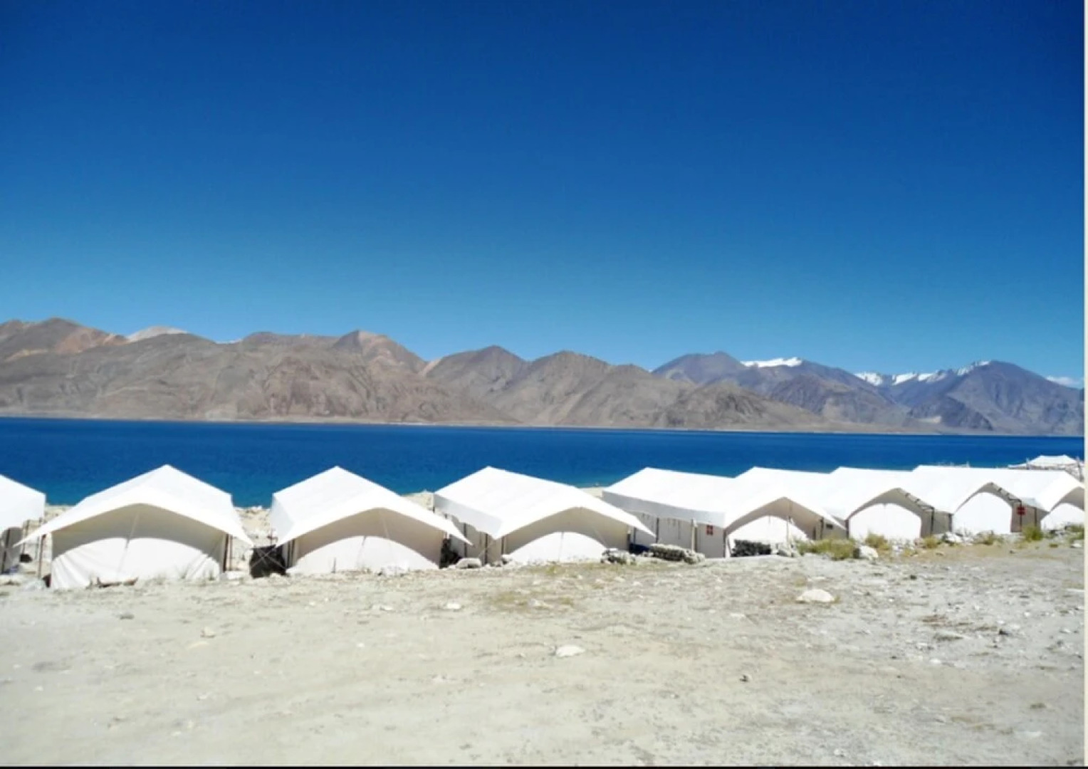 Royal Camp - Pangong