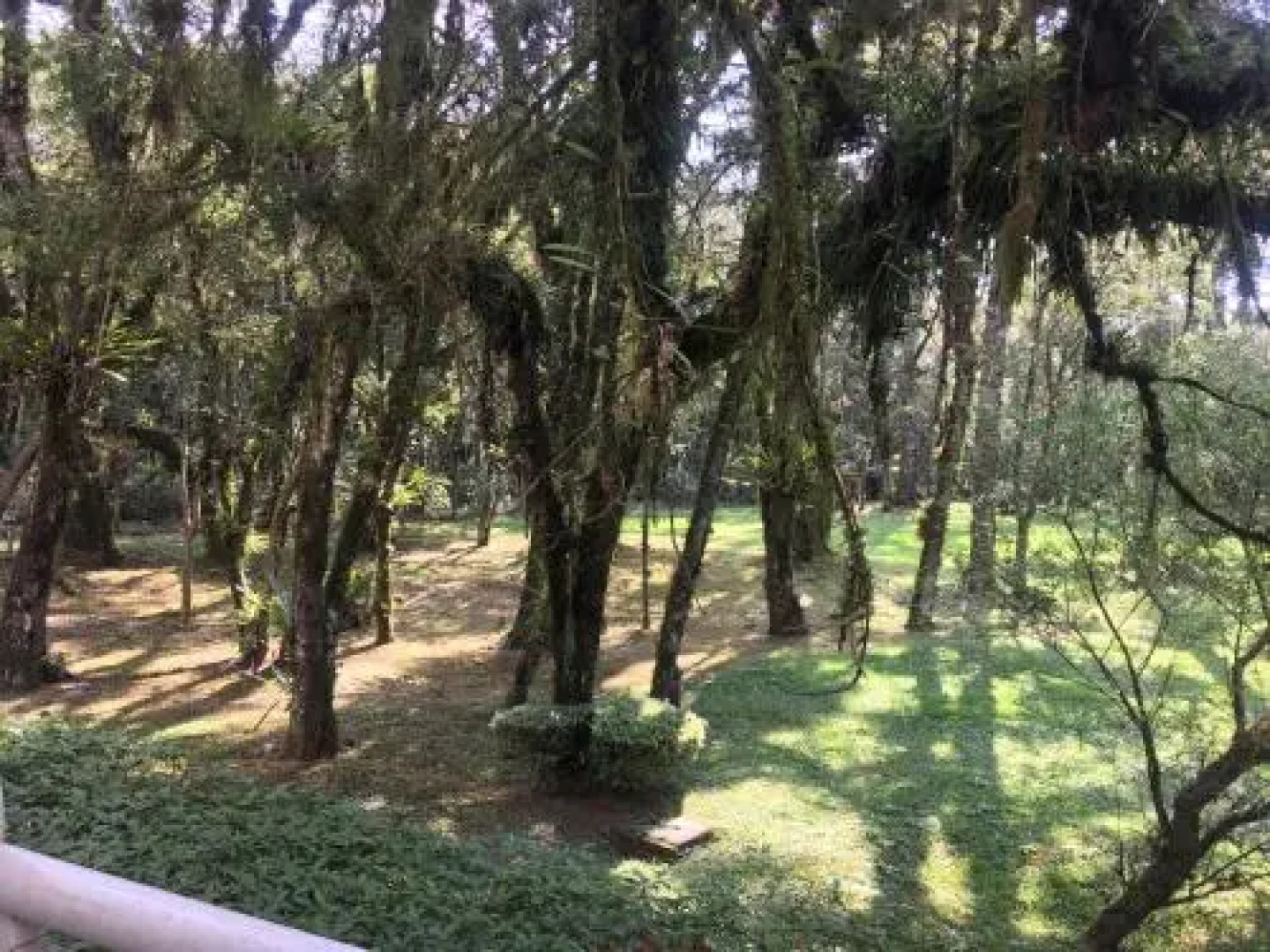 Apartamento Luxo Mountain Village