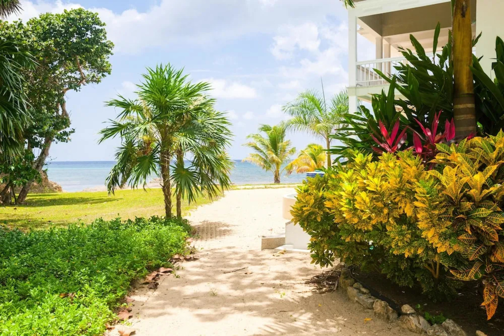 Lawson Rock Parrotfish 106