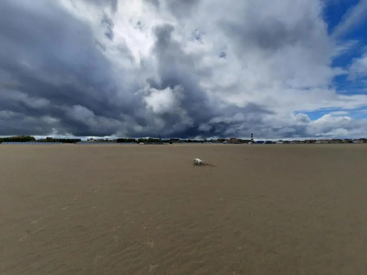 Maison Chez Lili à 200 m de la plage ,jardin privé et clos