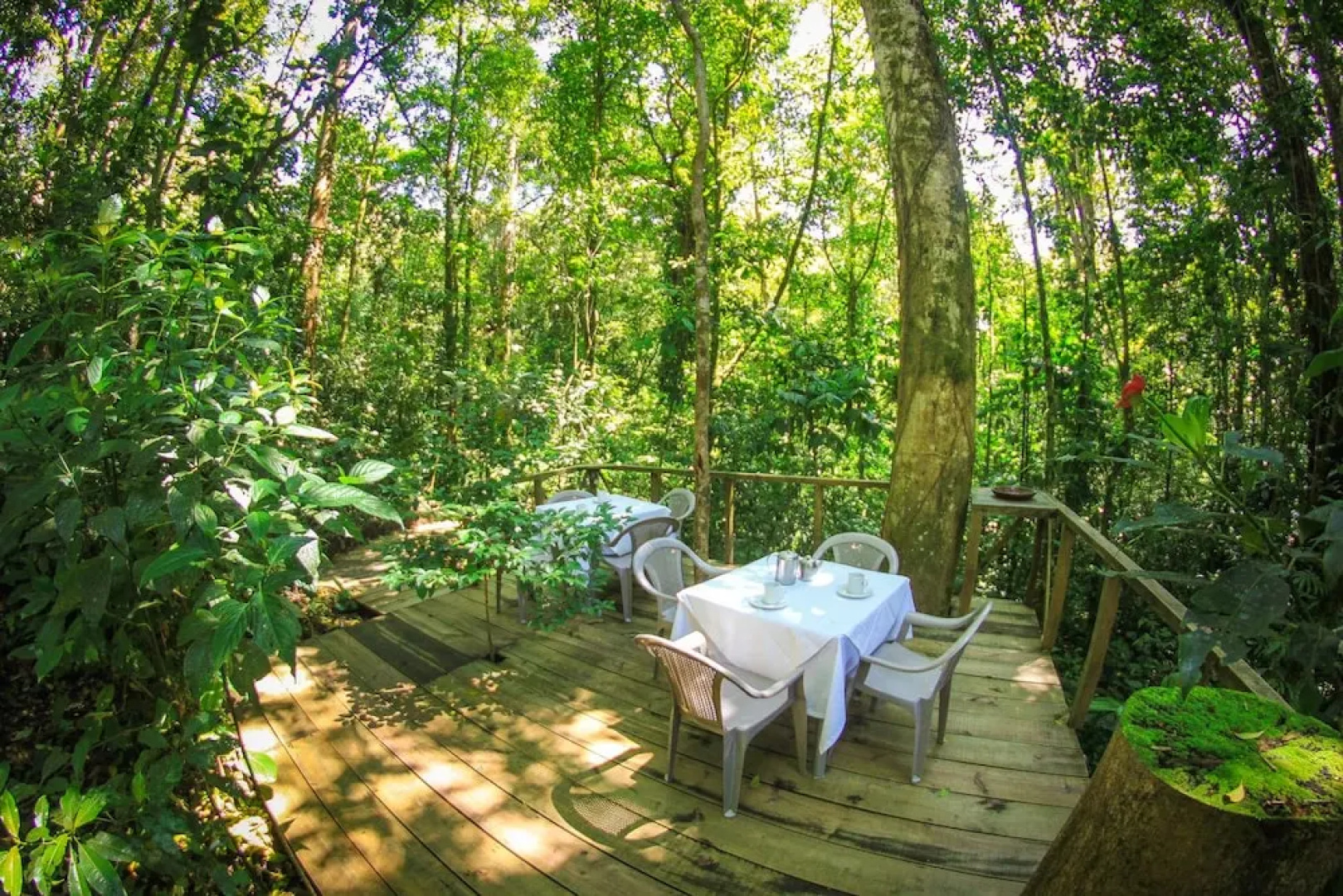 Wagelia Espino Blanco Lodge
