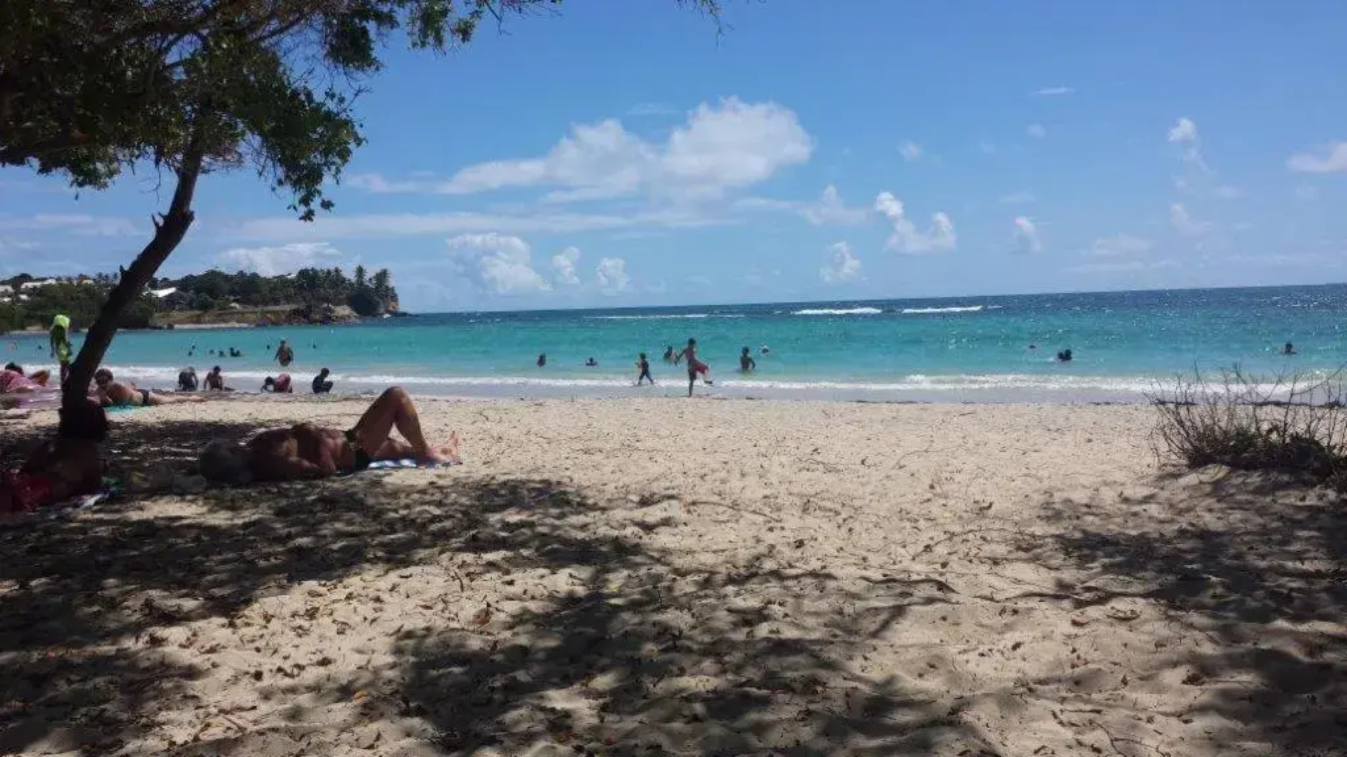 Residence Palm Beach