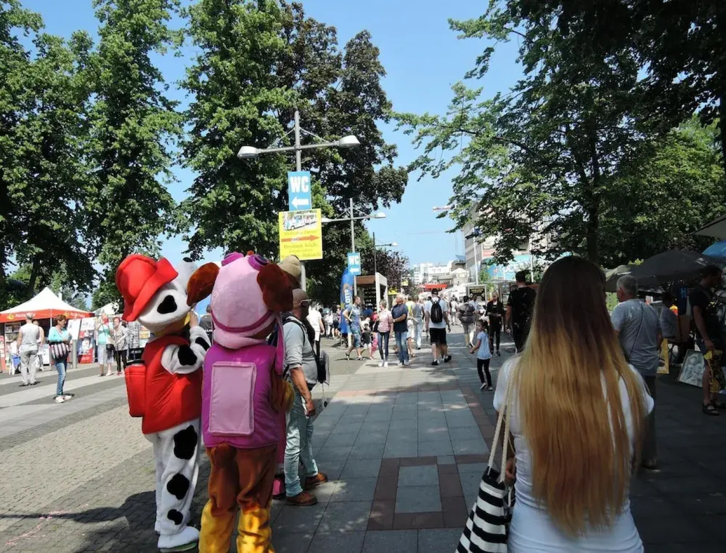 Holiday Complex With the Pool in Miedzyzdroje