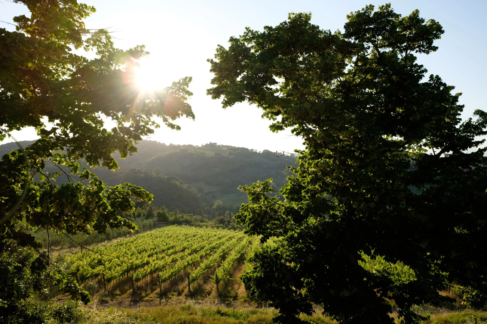 Castello di Cafaggio