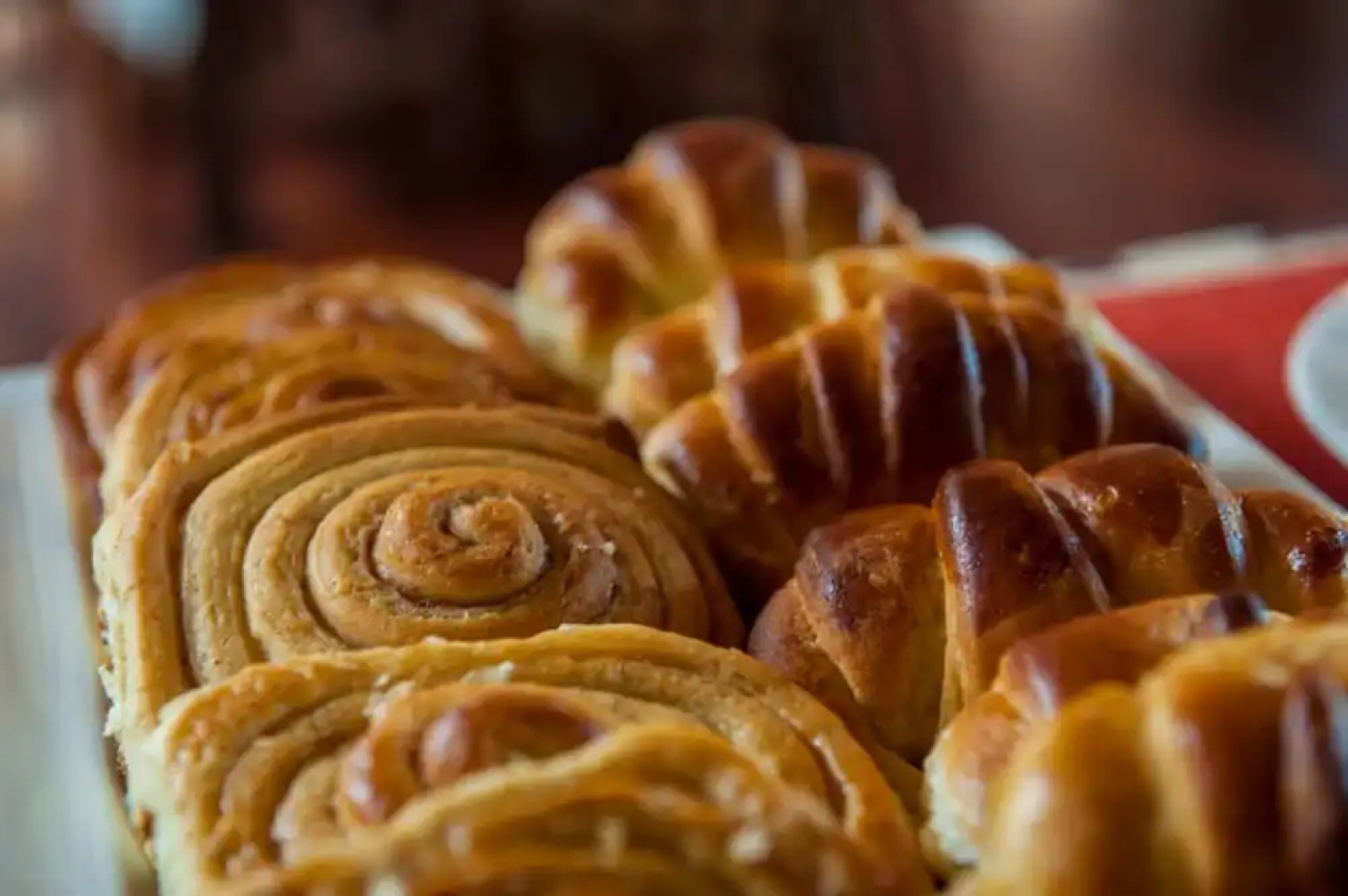 Ngorongoro Lions Paw