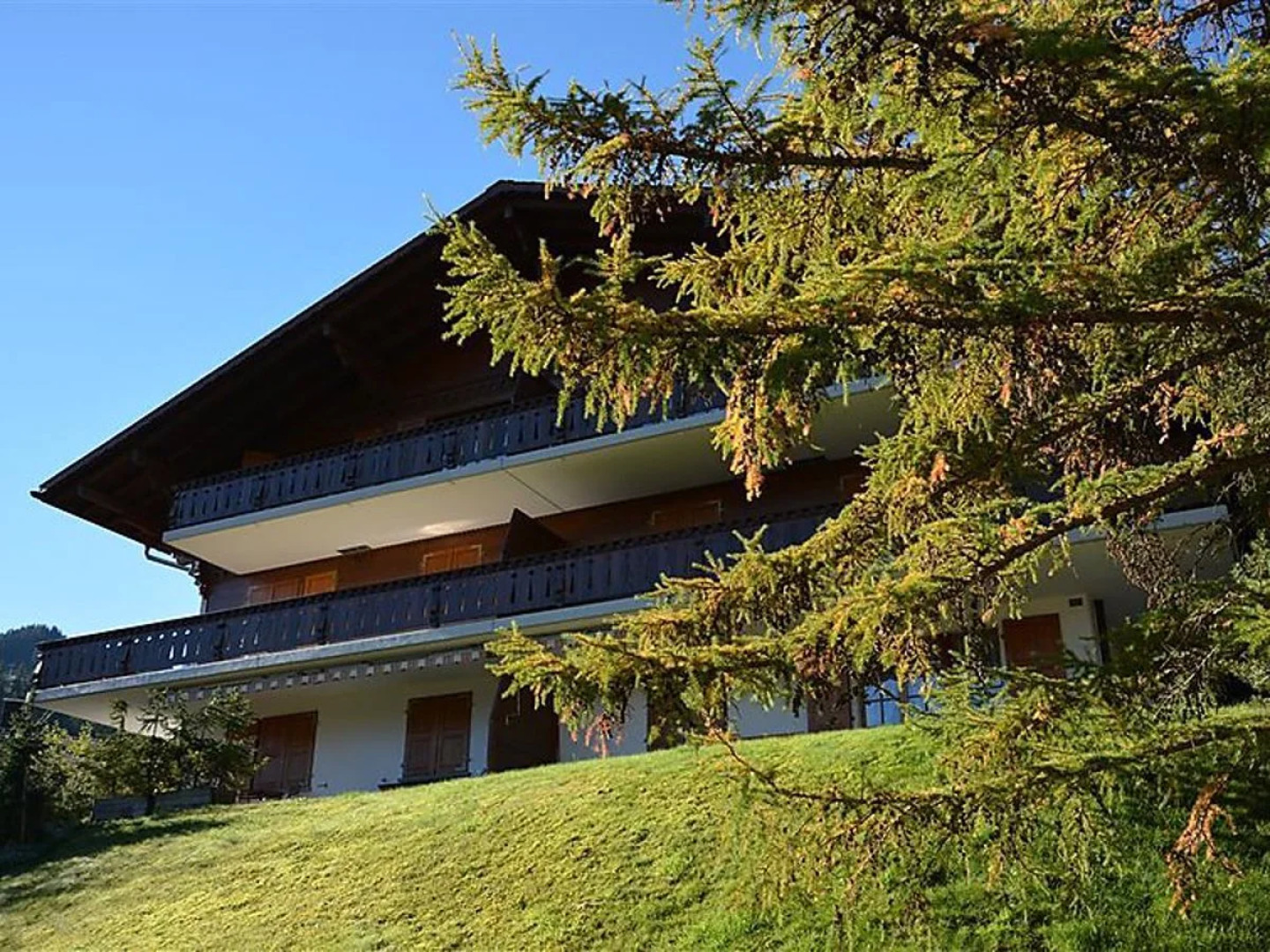 Apartment Hornflue (Wohlwender)