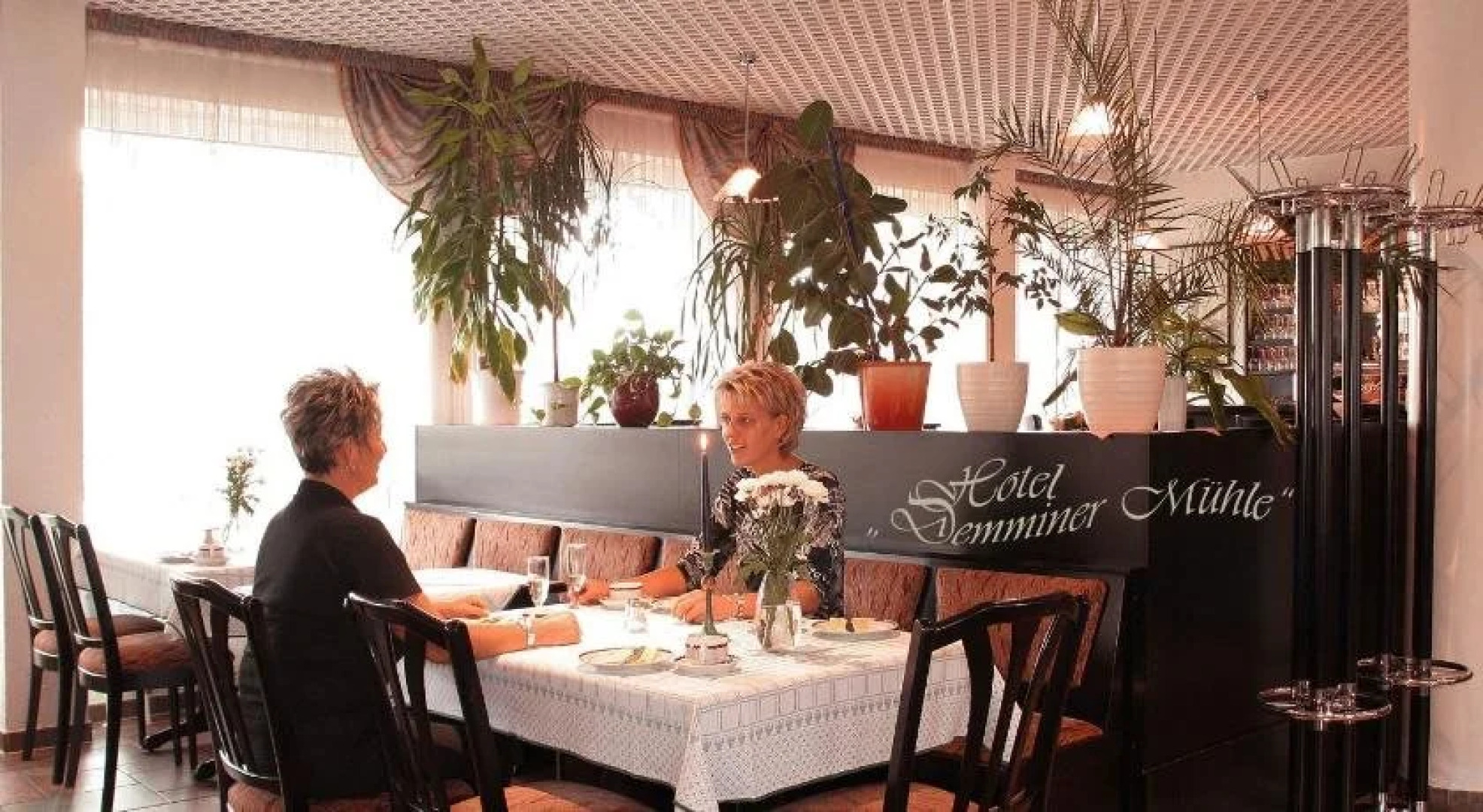 Hotel Demminer Mühle