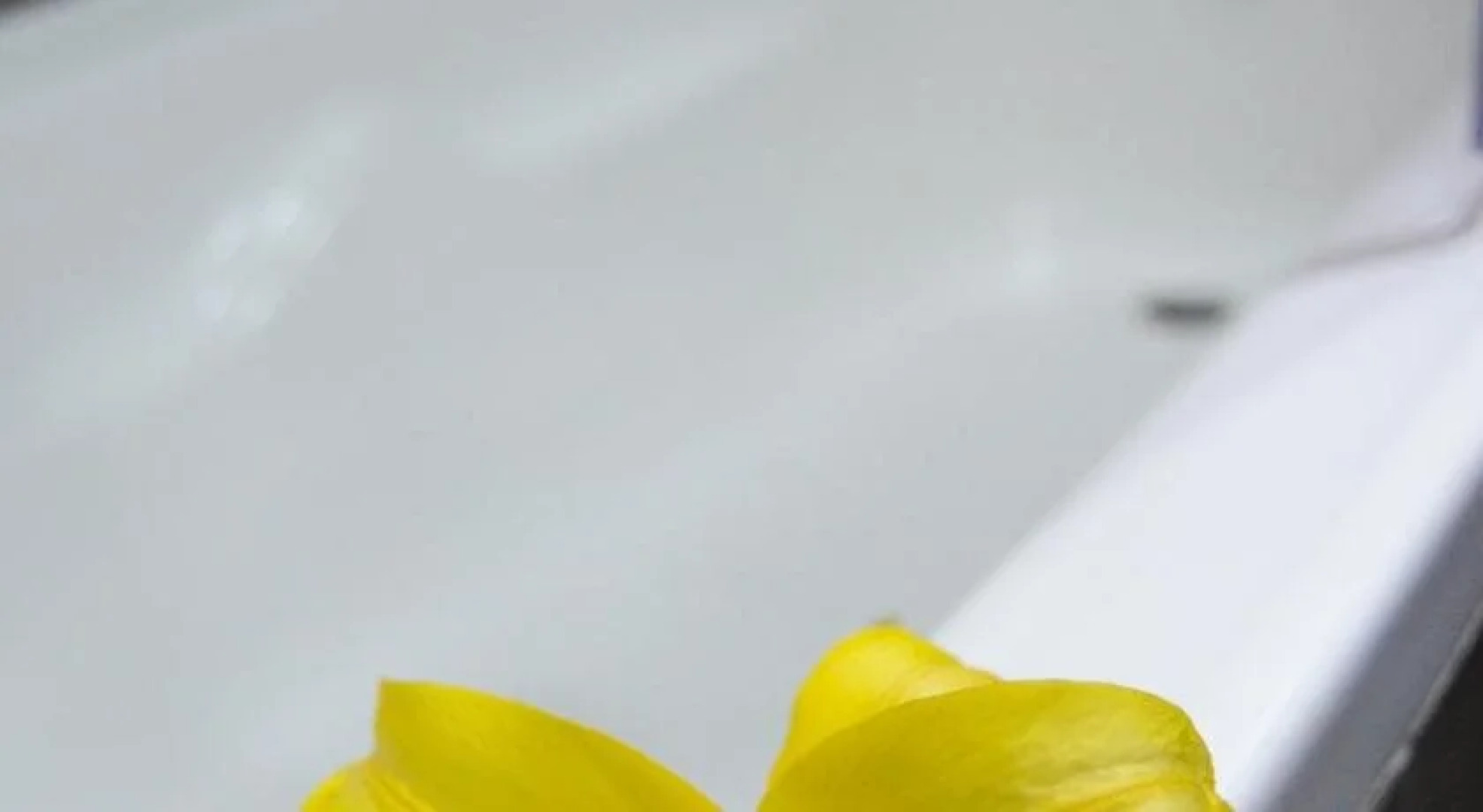 Hotel San Agustin Plaza