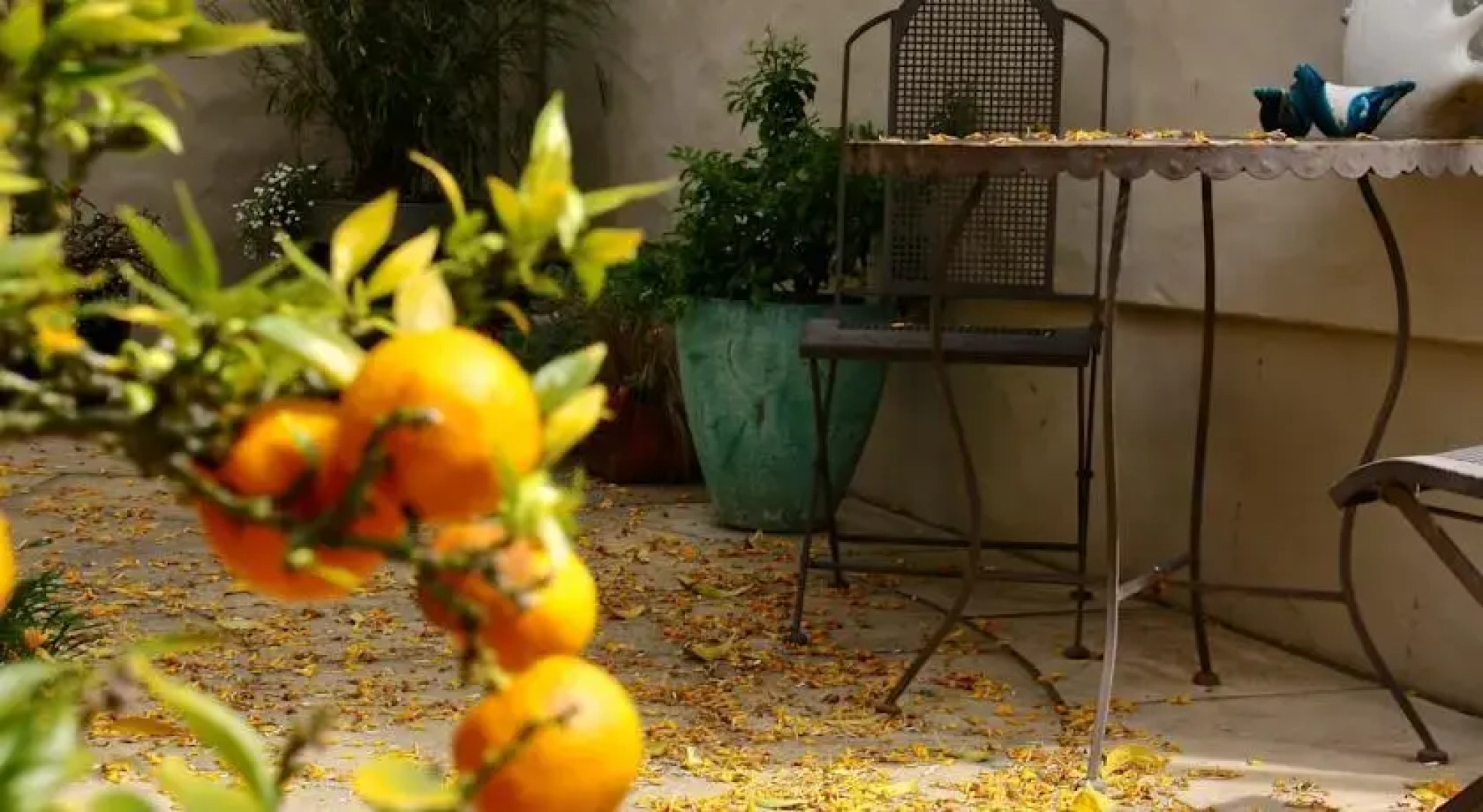 The Loft Art Studio & Premium Bed and Breakfast