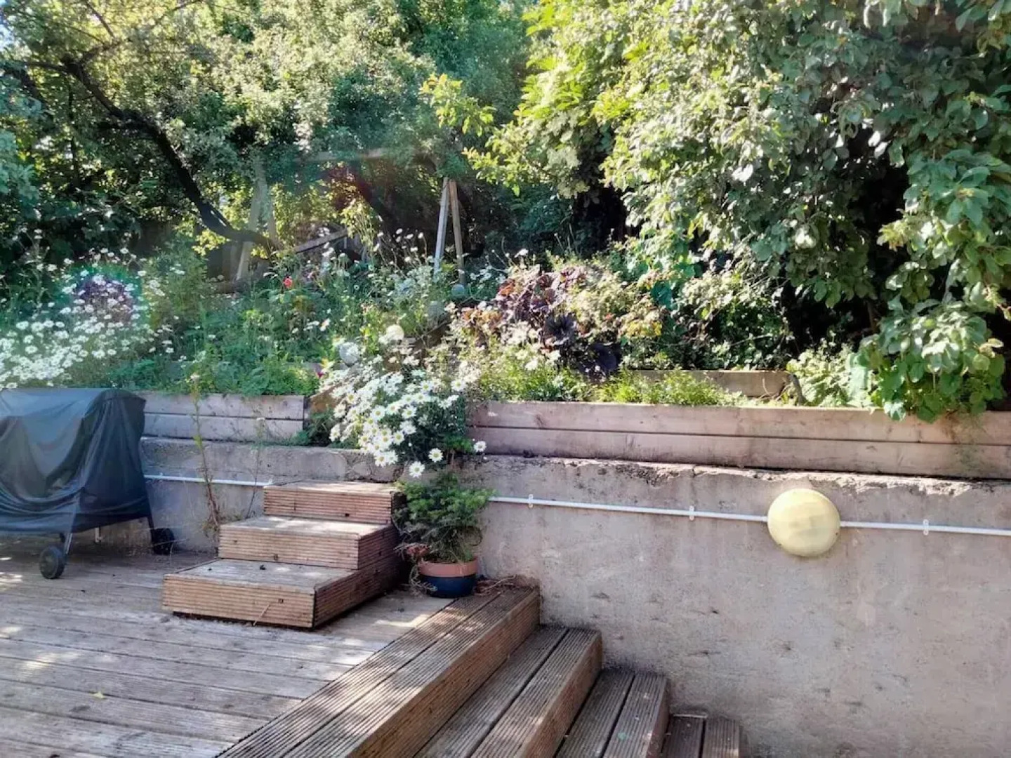 Midden Manor Country Stay on a Working Dairy Farm