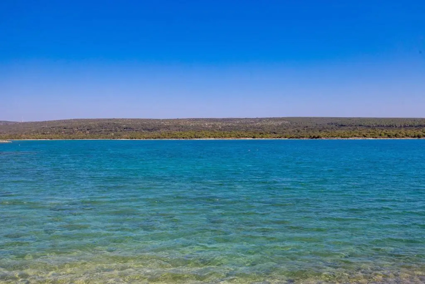 Apartment in pinewood near the sea