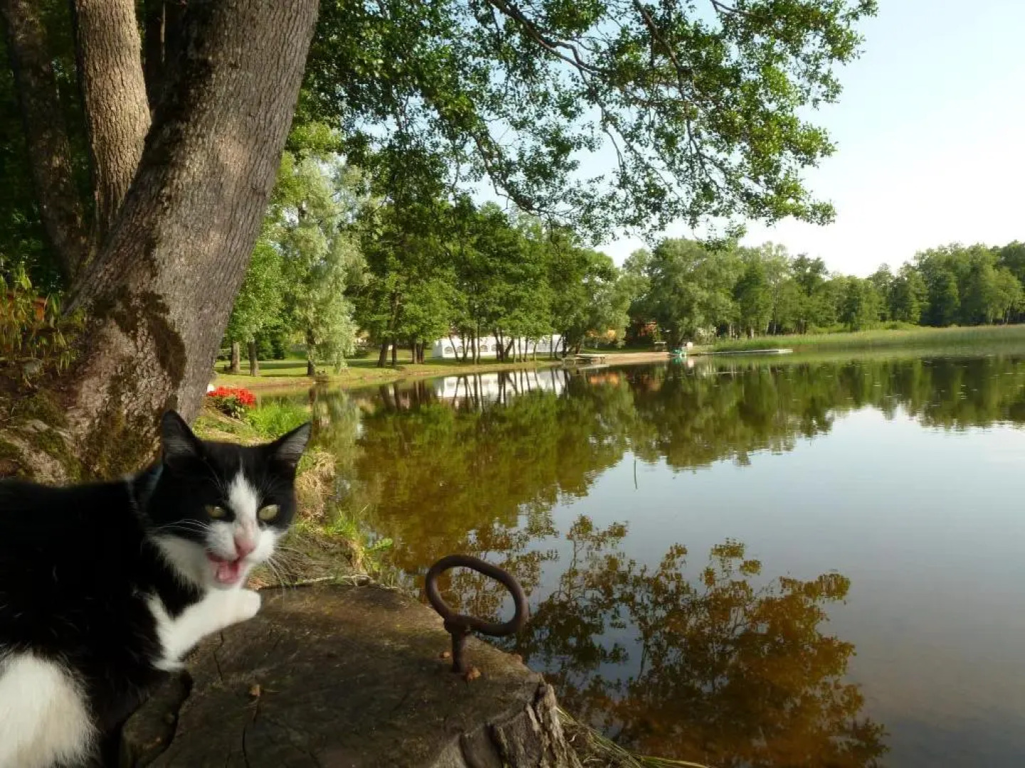 Gościniec Olecki - Karczma Margrabowa