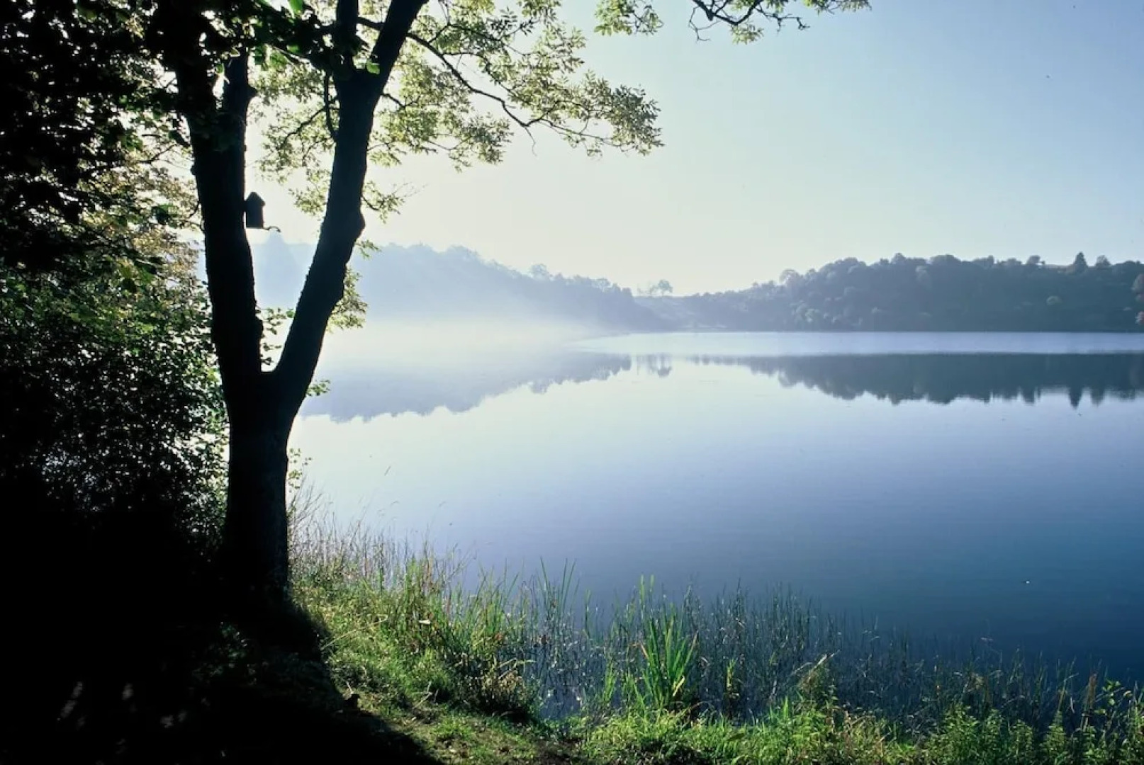 Ferienwohnung Seeblick