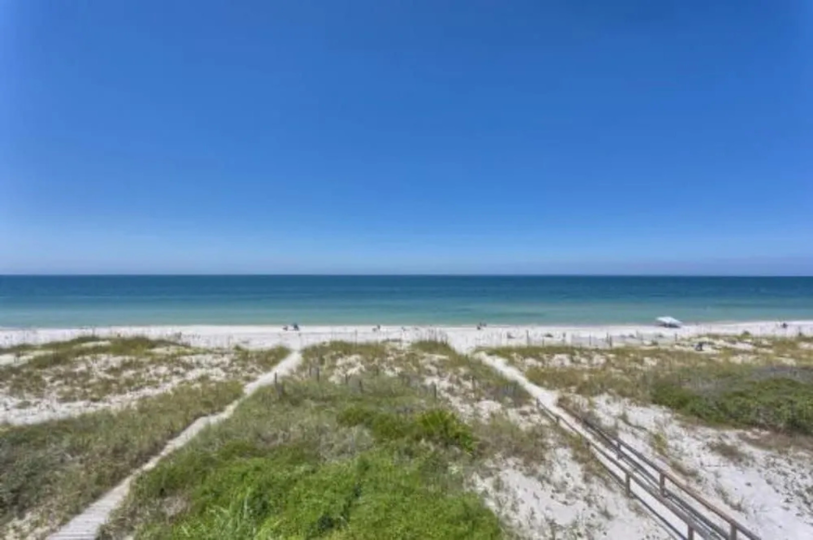 A Rendezvous, No Pets Allowed