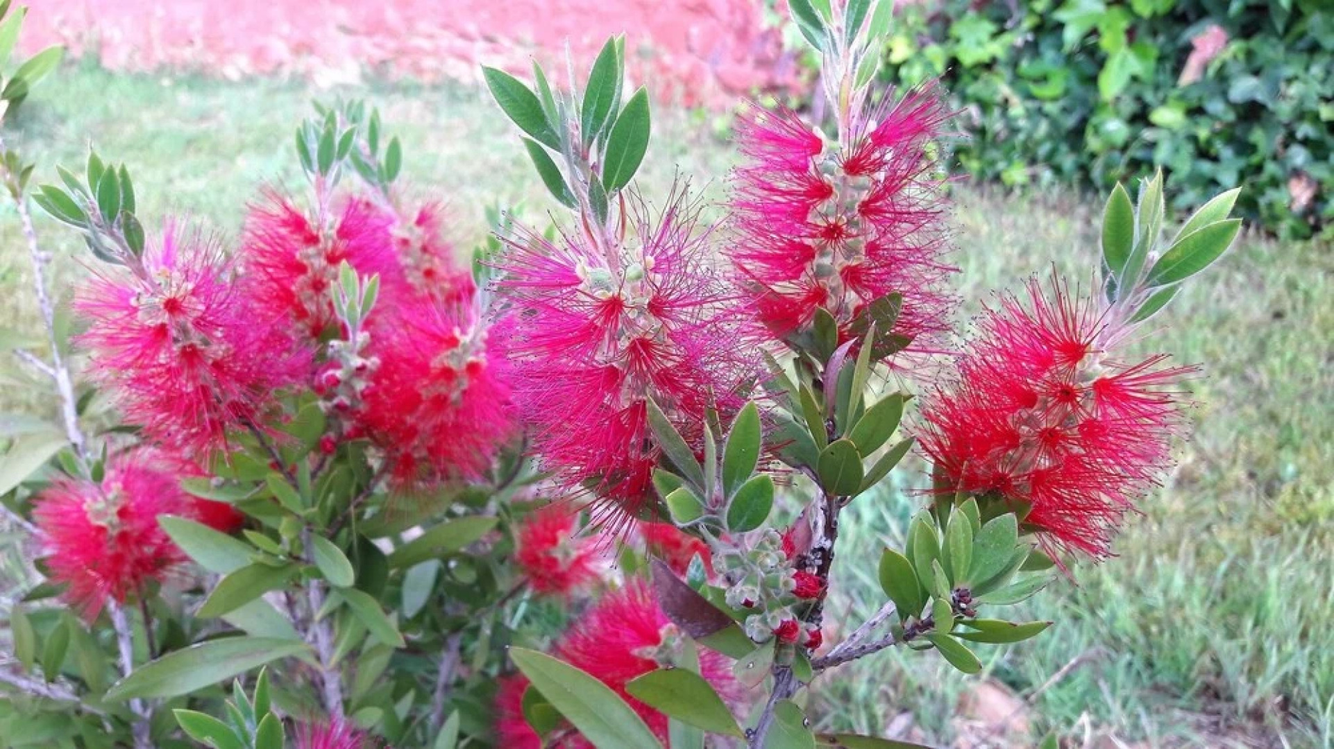 House With 3 Bedrooms in Picón, With Private Pool, Enclosed Garden and