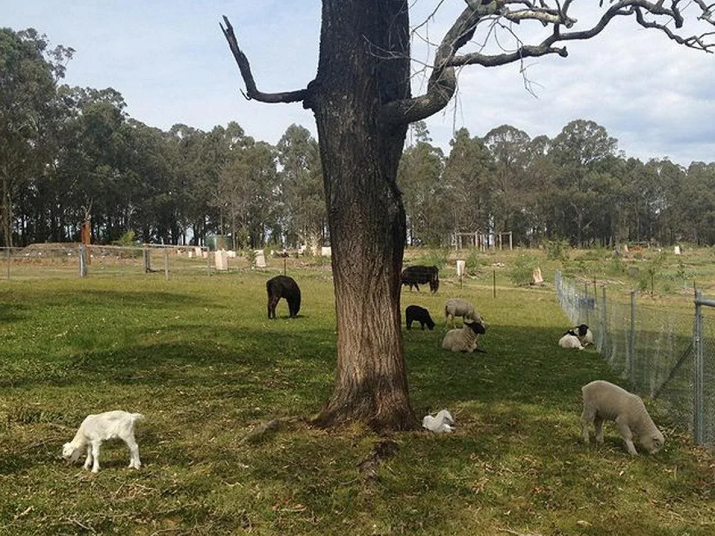 Honeycomb Valley Farm