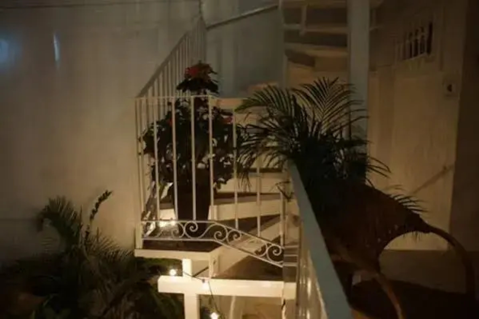 Casa Adriana