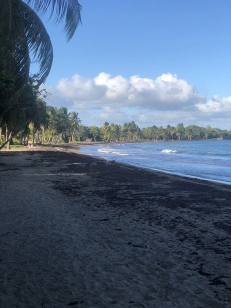 House With 3 Bedrooms in Goyave, With Wonderful sea View, Furnished Terrace and Wifi - 1 km From the Beach