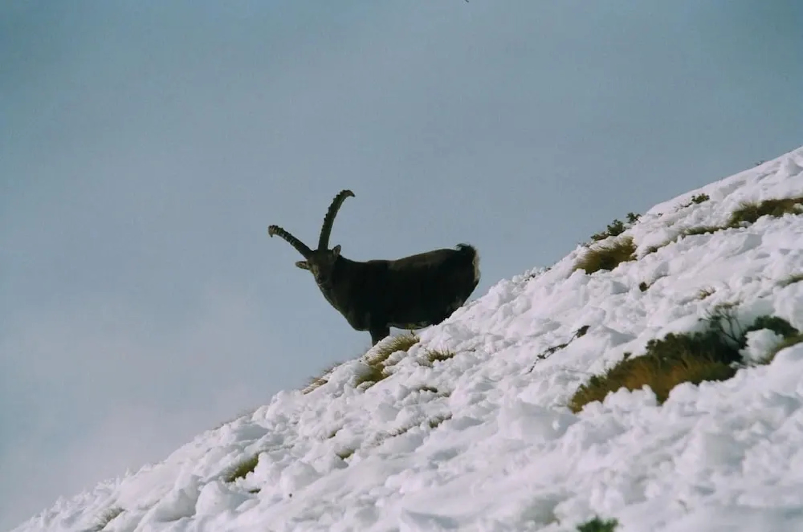 Affittacamere Saint Salod