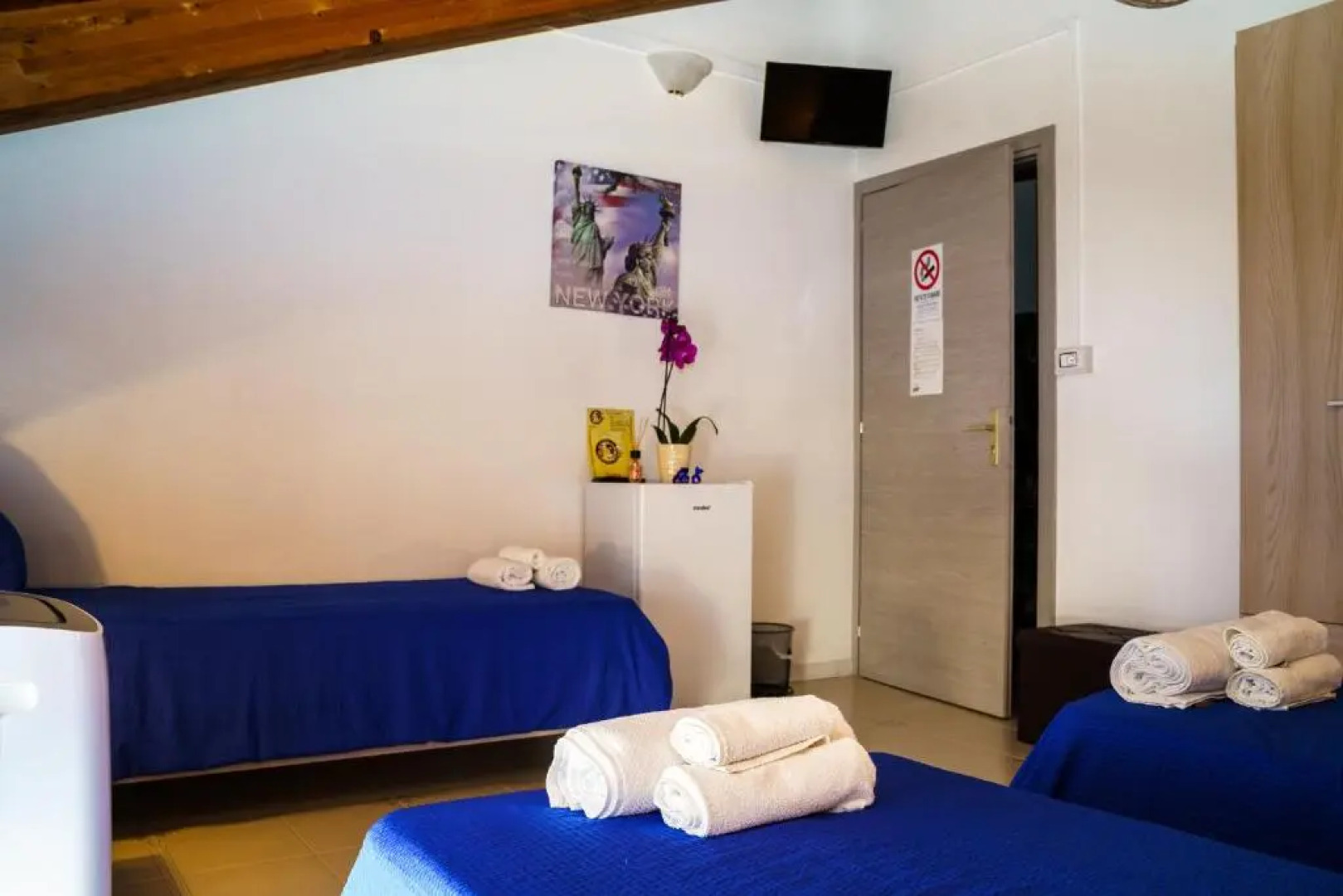 Sansi´s Sapri Camere