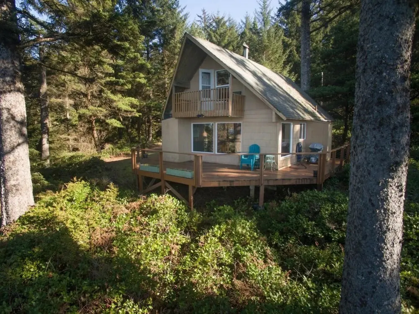 The Cedar House