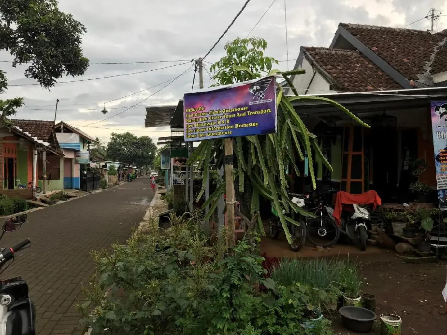Fida Ijen Crater Guesthouse