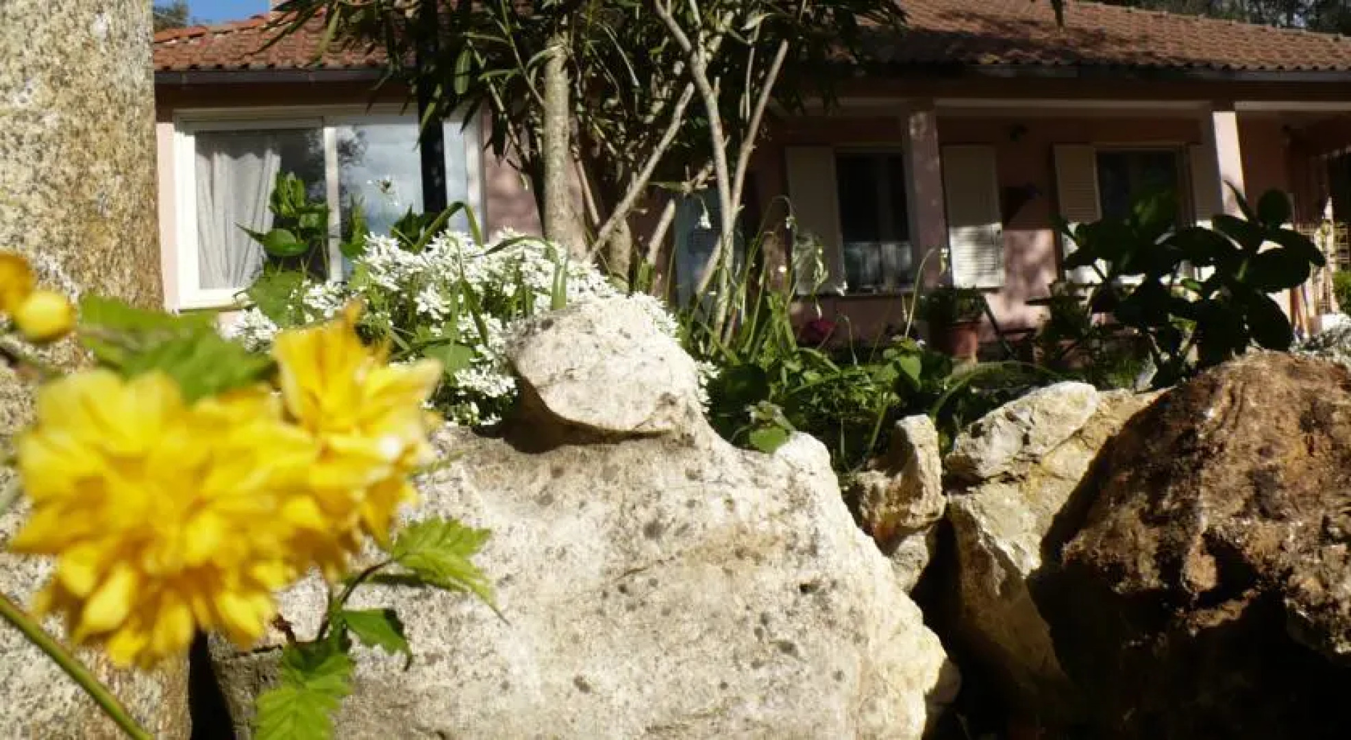 B&B La Casa Nel Bosco