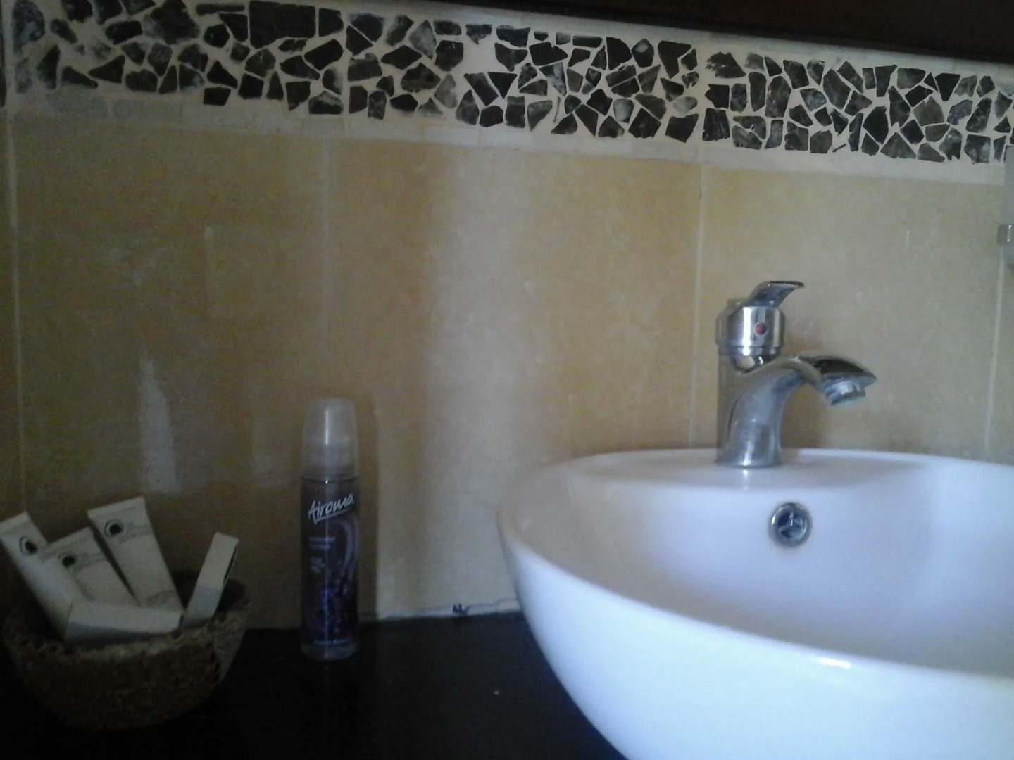Enviro-Villa Luxury Inn