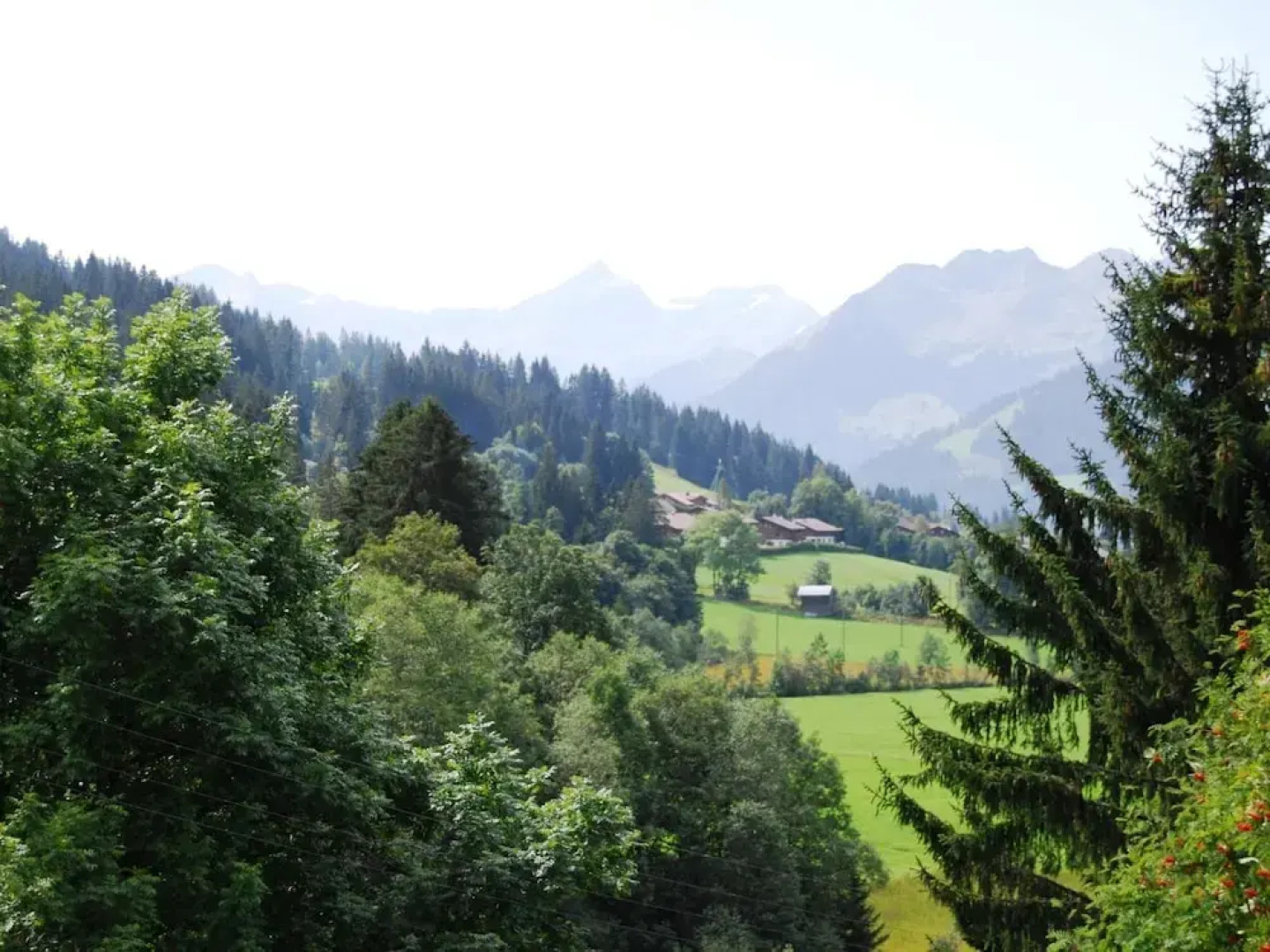 Ariel Saanen in Saanen