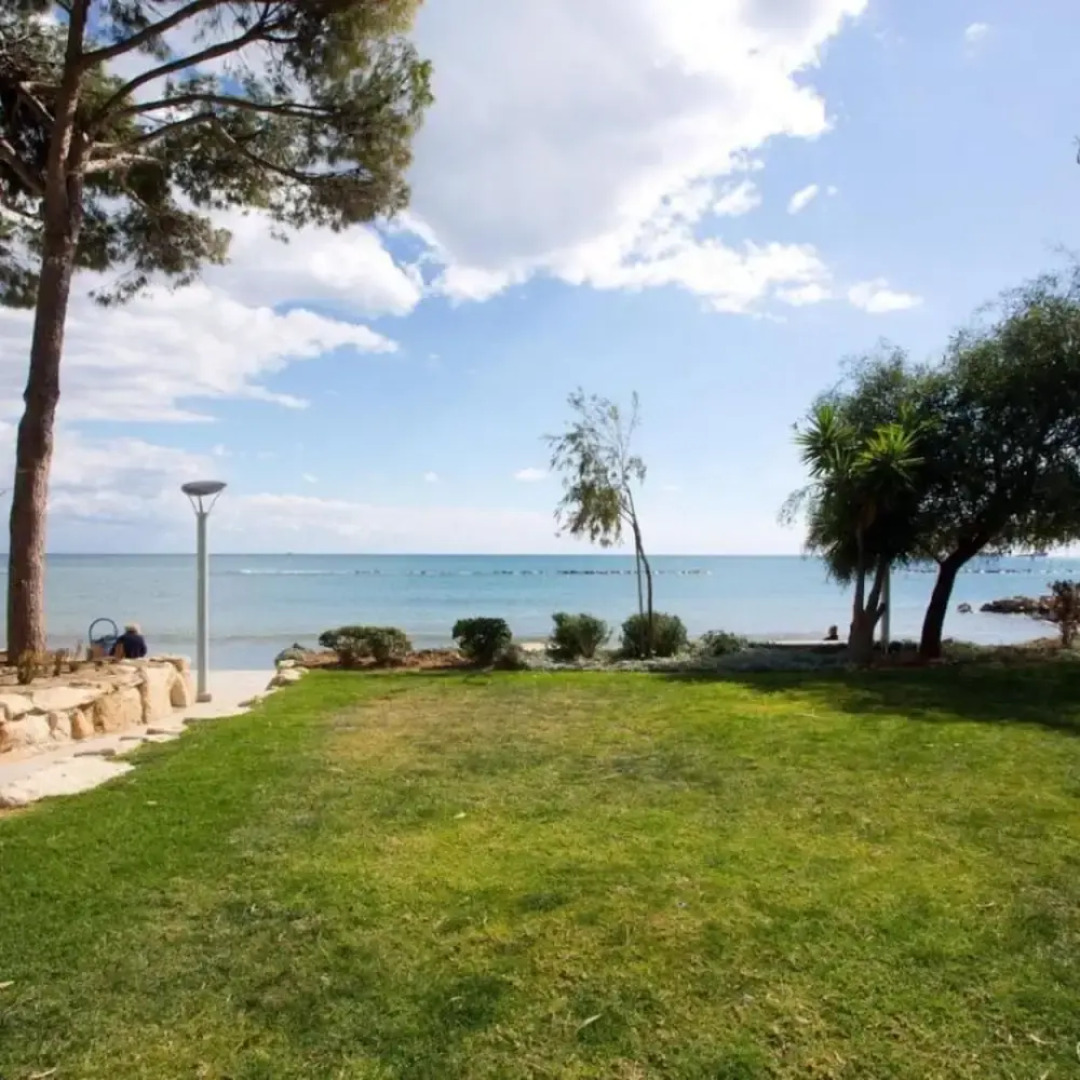 Opera Exclusive Studio