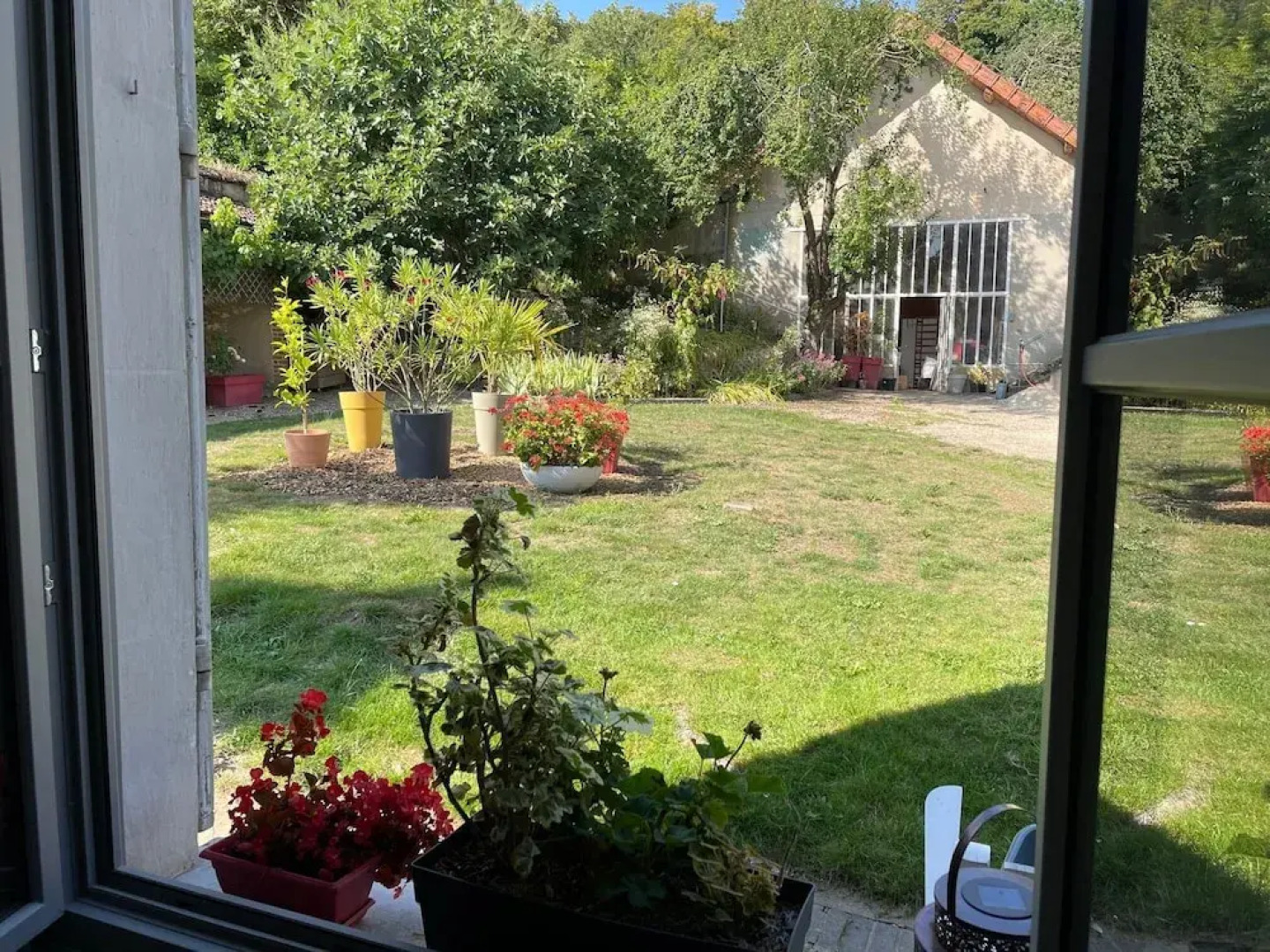 Le Petit Monde de Molly