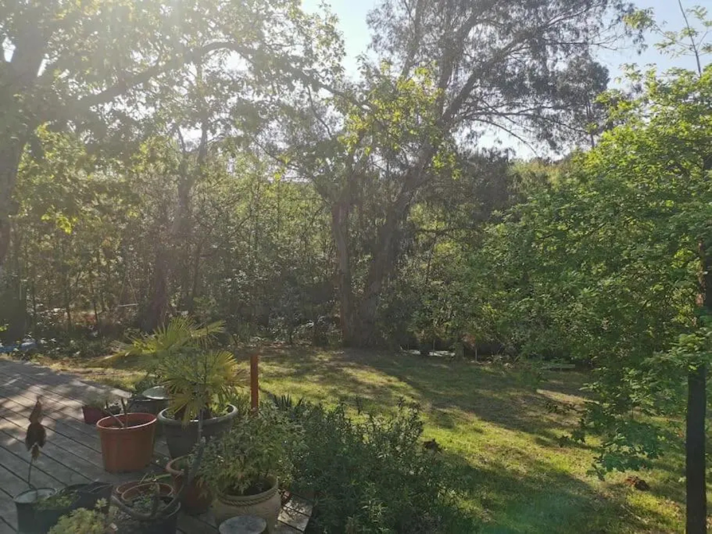 Maison bois au coeur de la nature. 2ha de terrain. Etangs