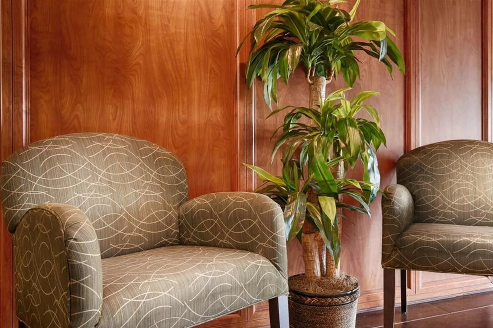 Best Western Plus Gilbert/Mesa