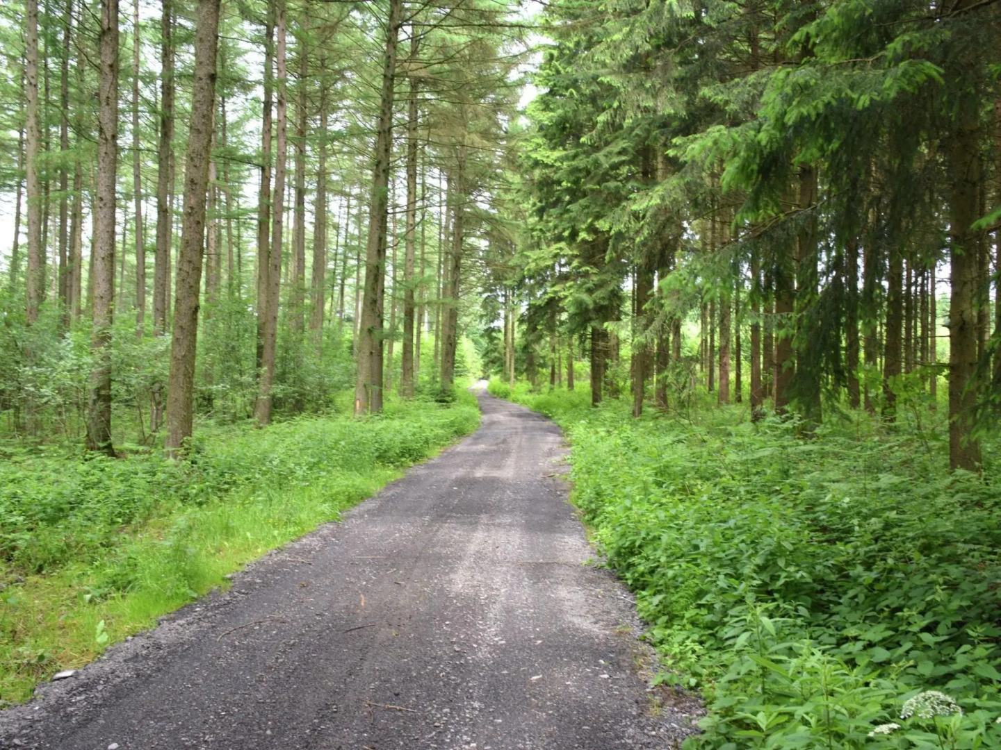 Cozy Farmhouse Near Houffalize