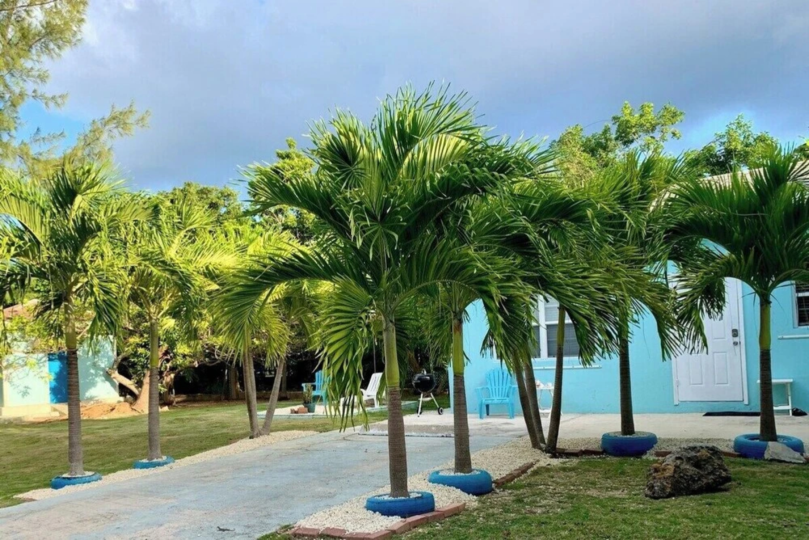 Suite 1 Beach Shuttle Concierge Garden Cats