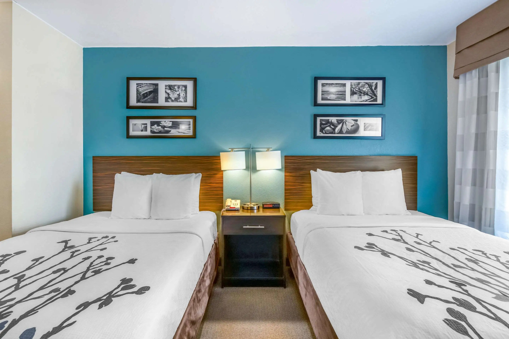 Sleep Inn near Washington State Line