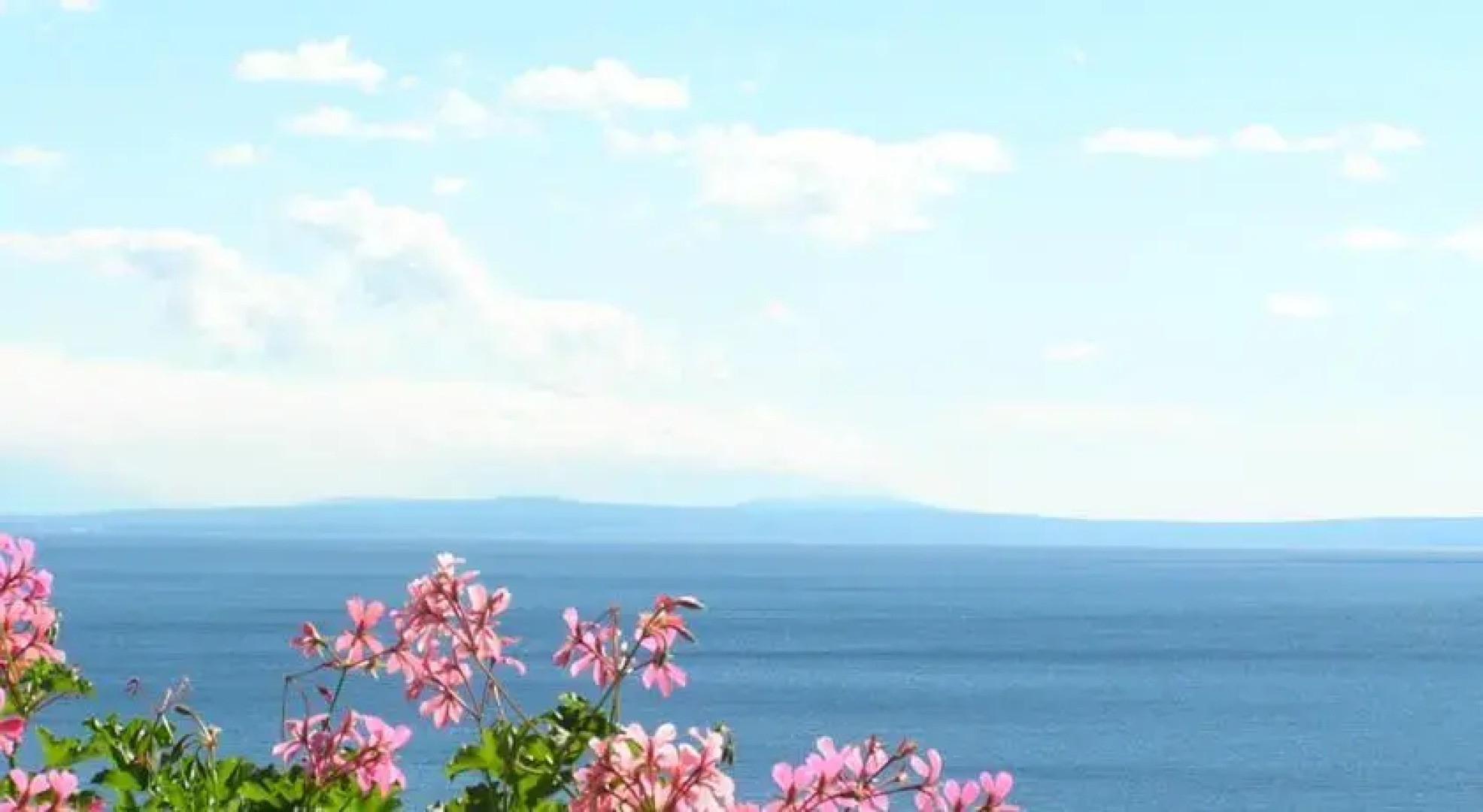 Guest House Lifestyle Holiday