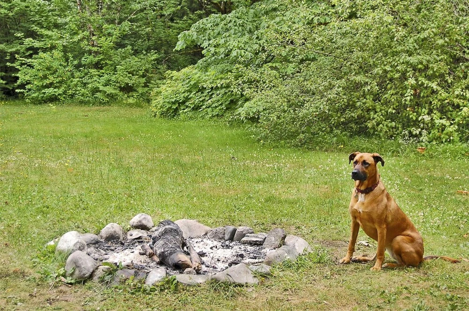 Mysty Mountain Cabin with Hot Tub