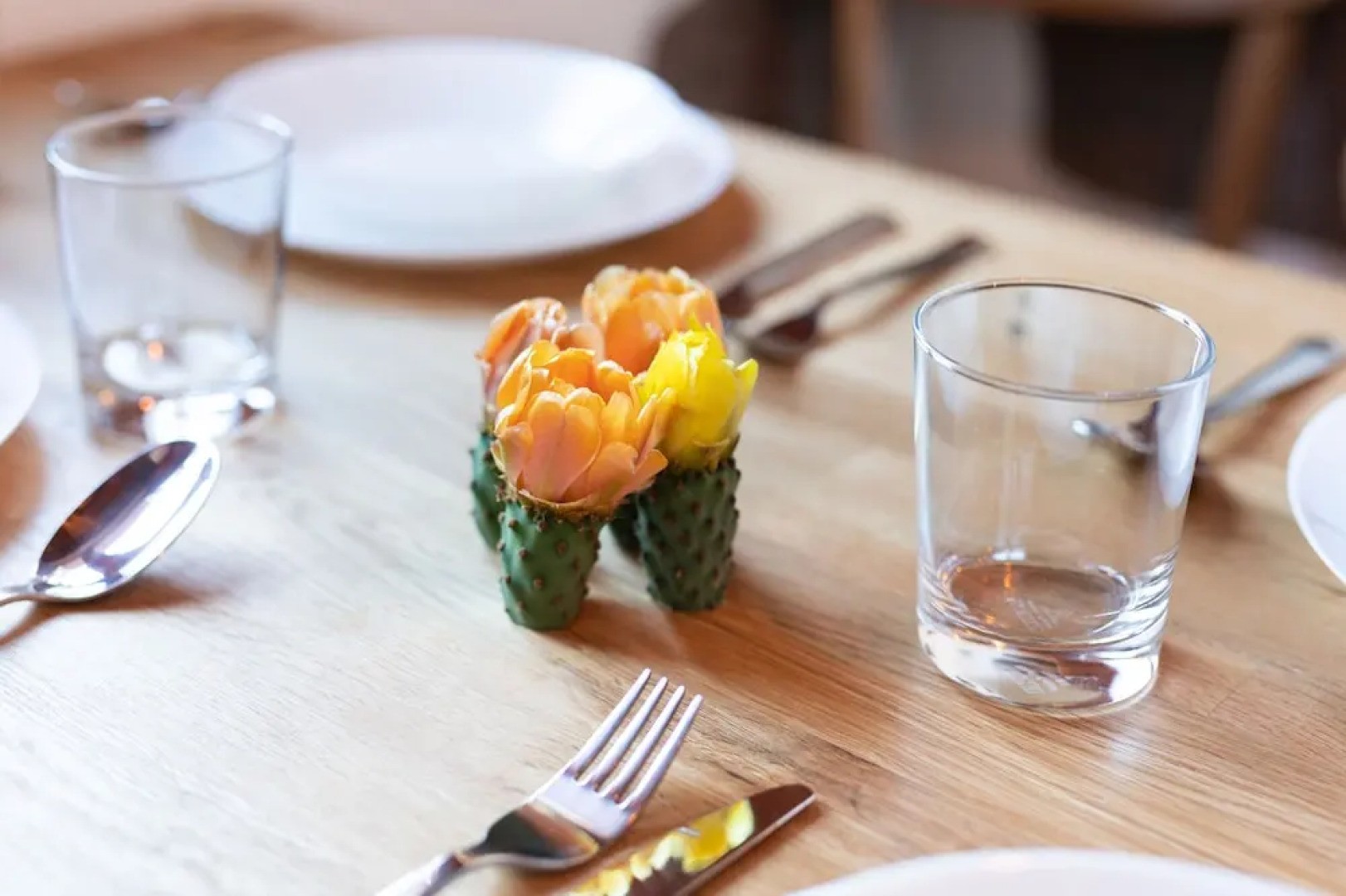 HomeLike Nature Carrizales and Masca House & Wifi