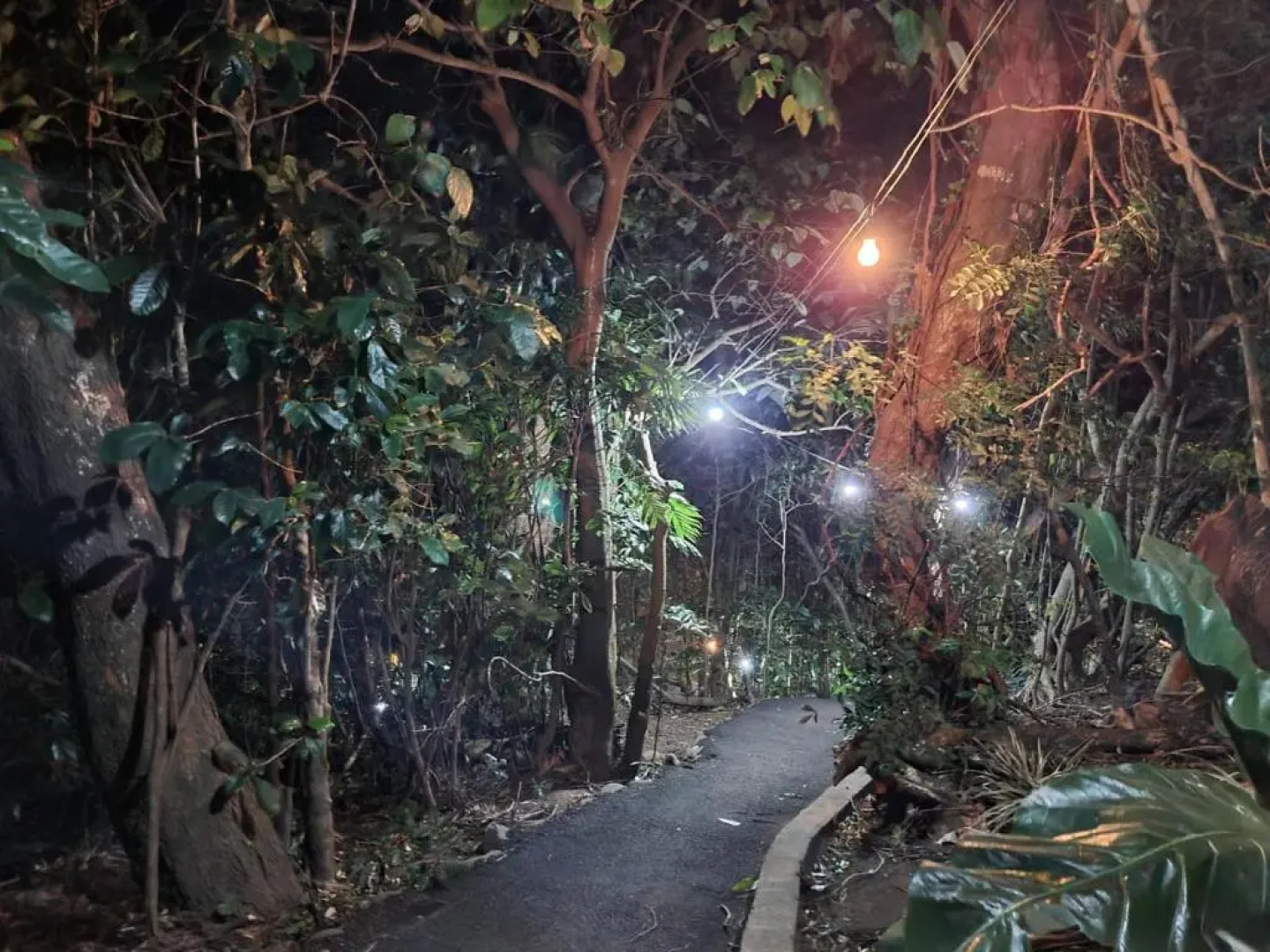 Belcruz Bed & Breakfast