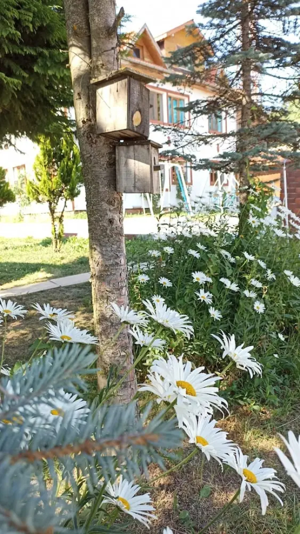 Doruk Garden Hotel Tokat
