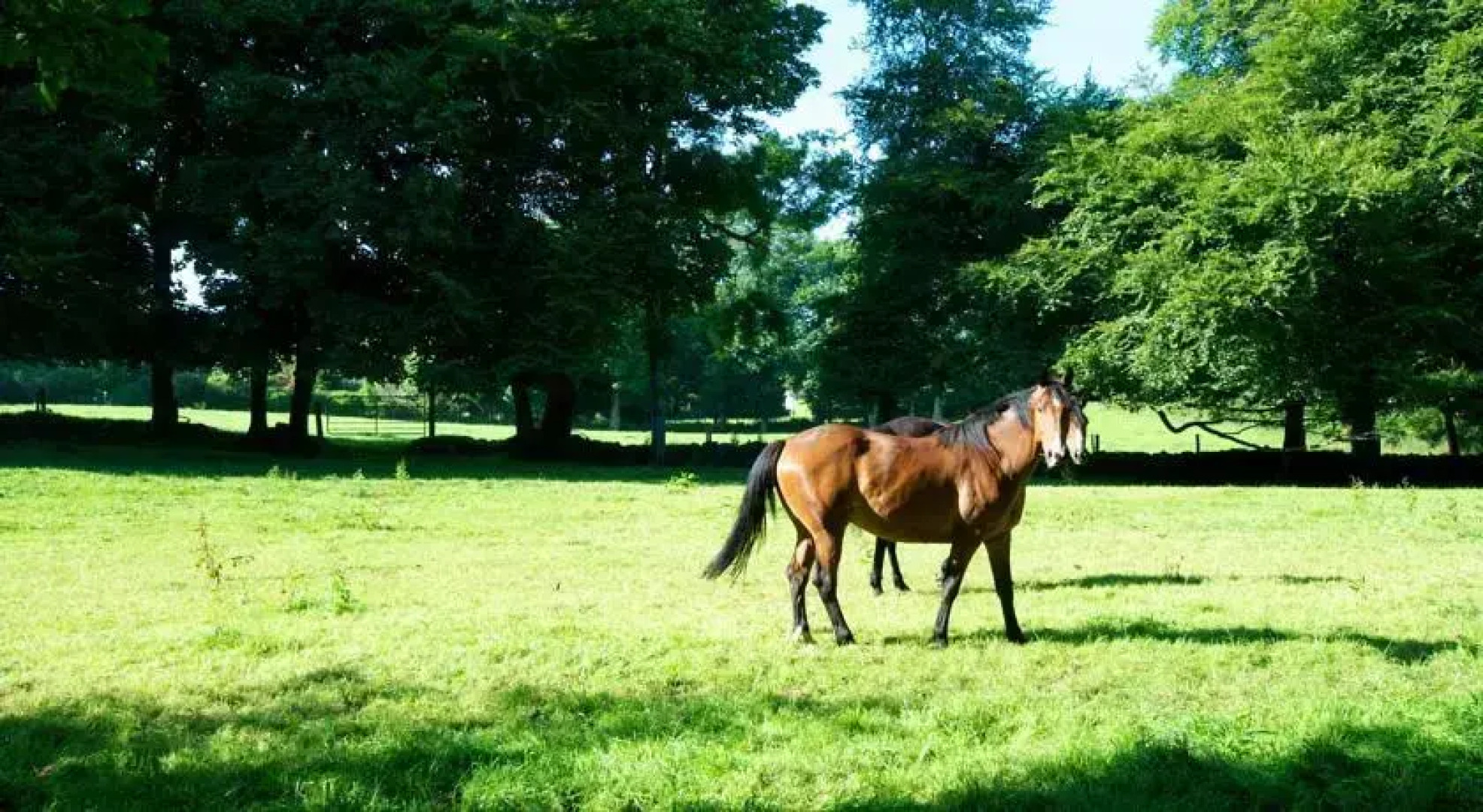 The Glen Country House