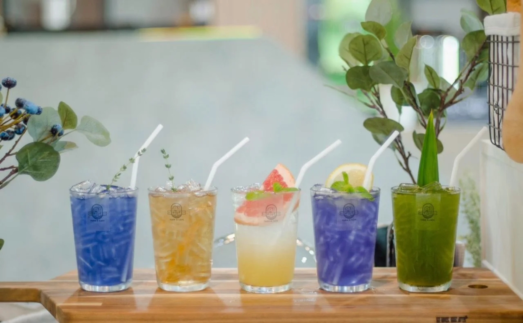 9D Sport Hotel (SHA Extra Plus)