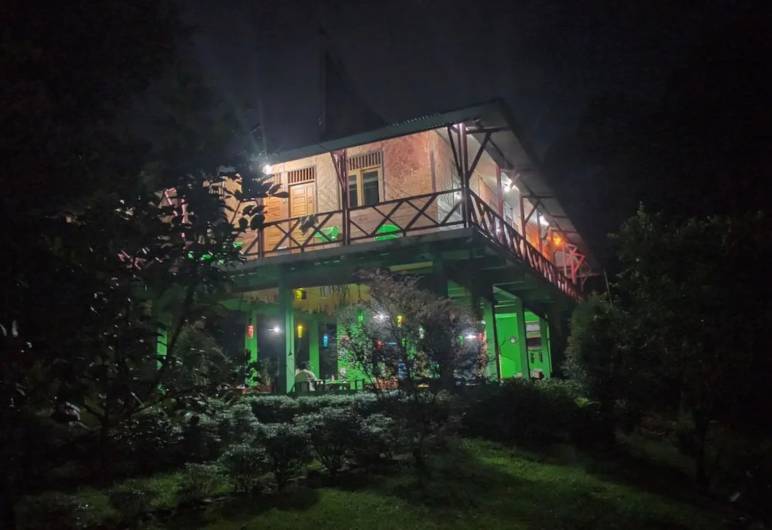 Green Forest Tangkahan